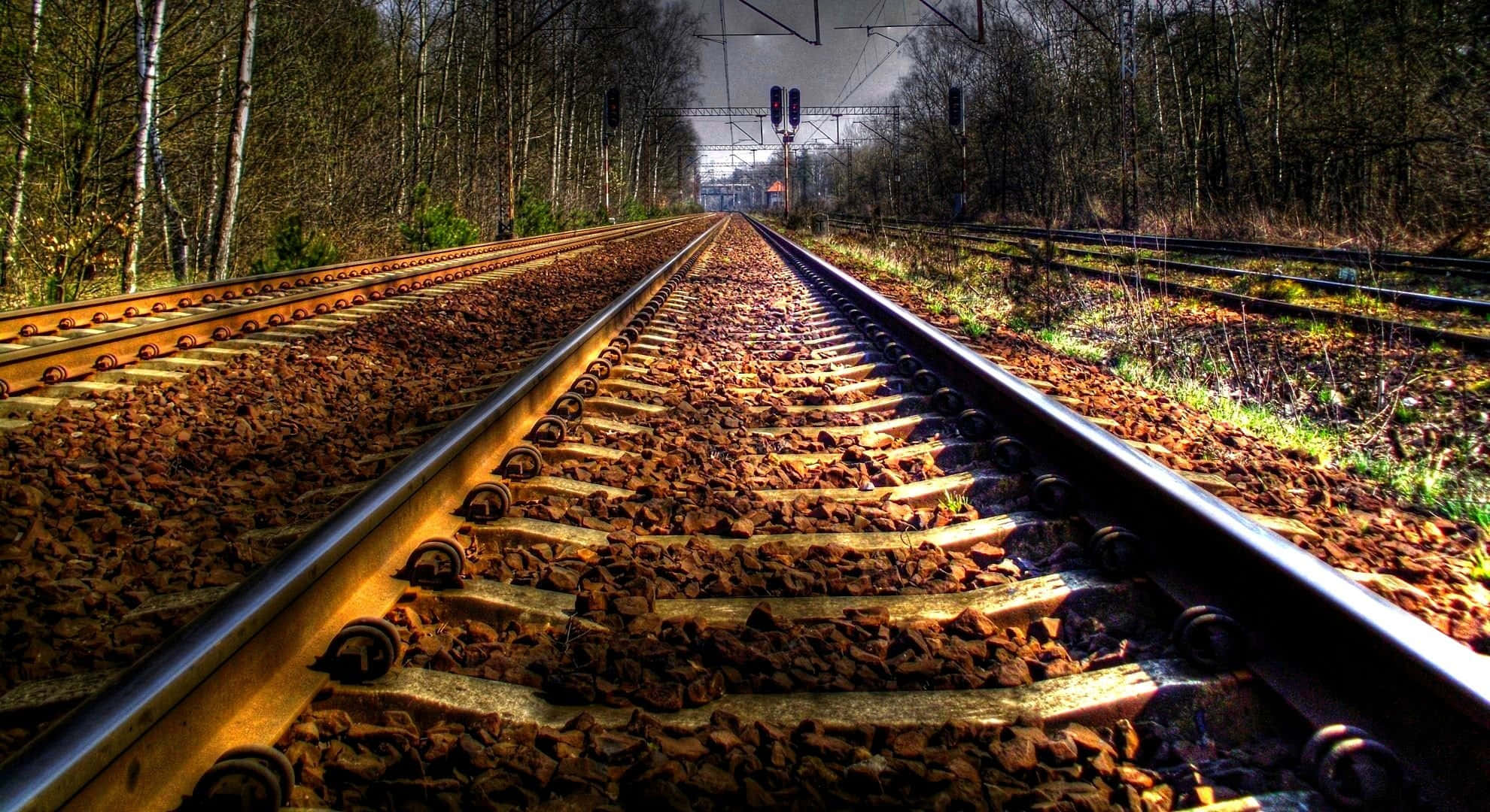 track 桌布 壁紙 — 鐵路軌道在戲劇性的燈光下穿過有落葉的森林，延伸至遠方。
