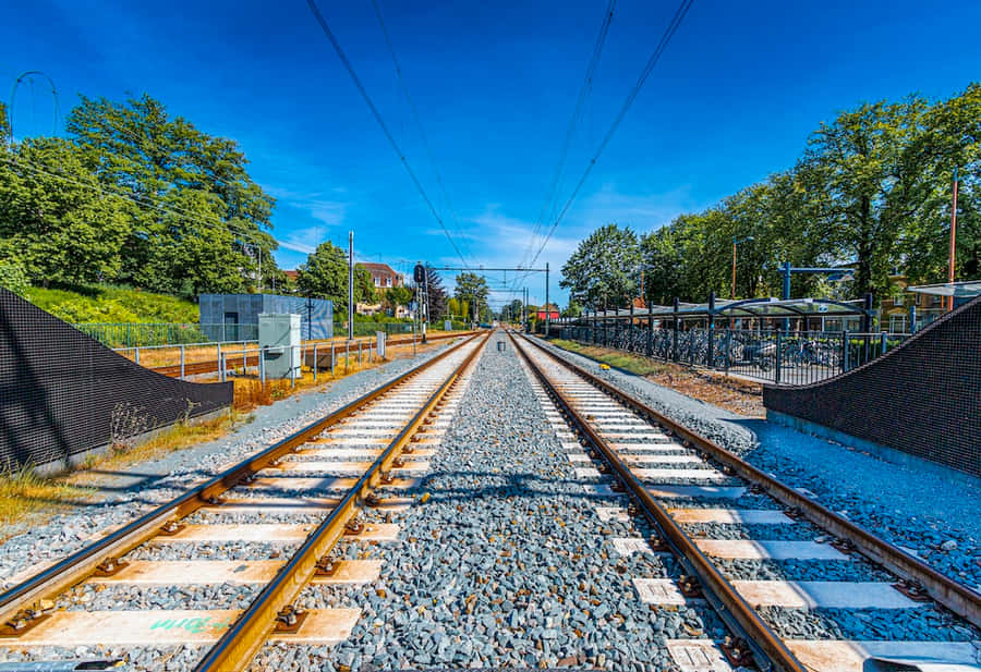 Train Tracks 桌布 壁紙 — 鐵路軌道在晴朗的藍天下延伸至遠方，兩旁是翠綠的樹木和車站月台。