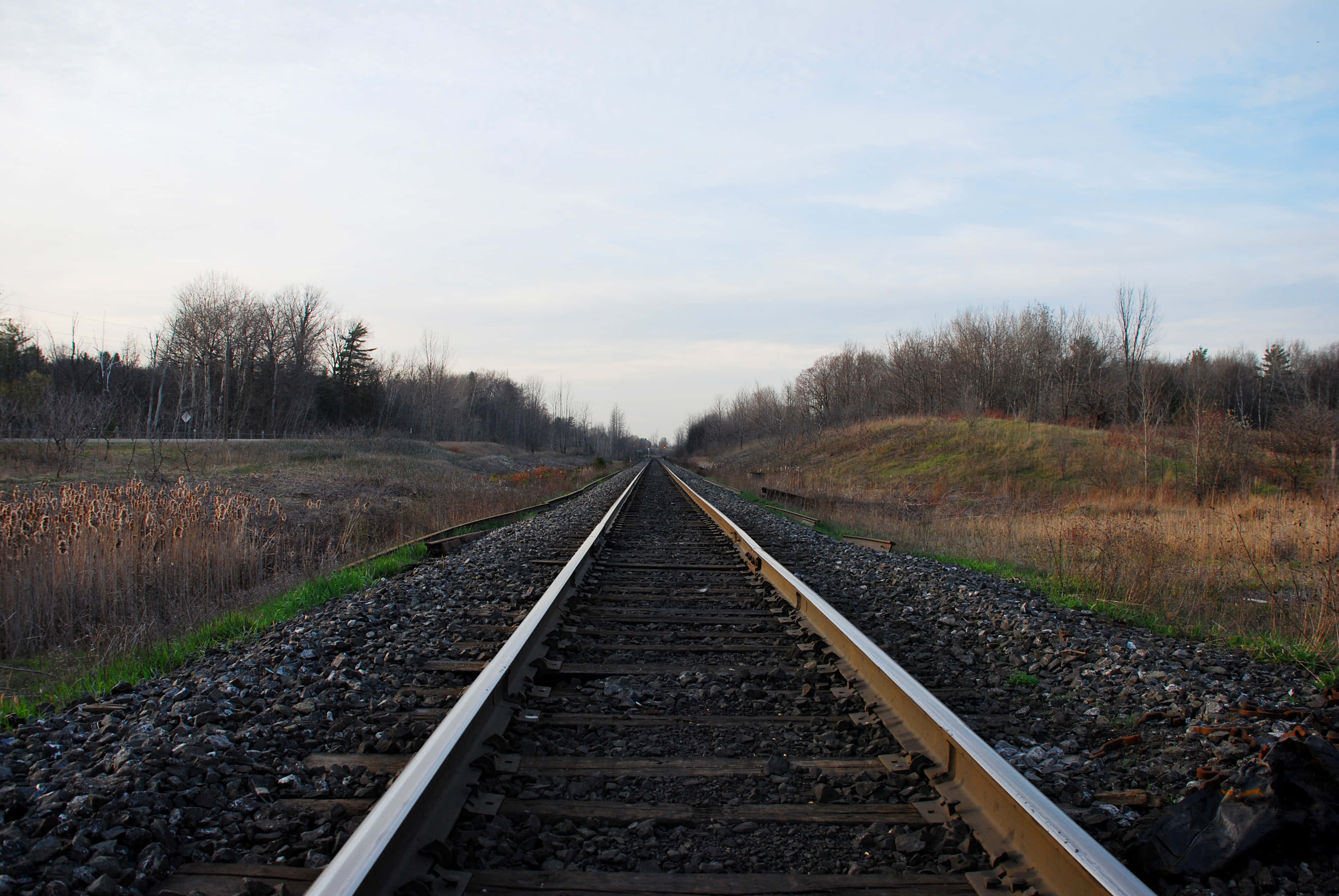 Train Tracks 桌布 壁紙 — 鐵路軌道在蒼白的天空下，穿過一片荒涼的秋日景觀，延伸至遠方。