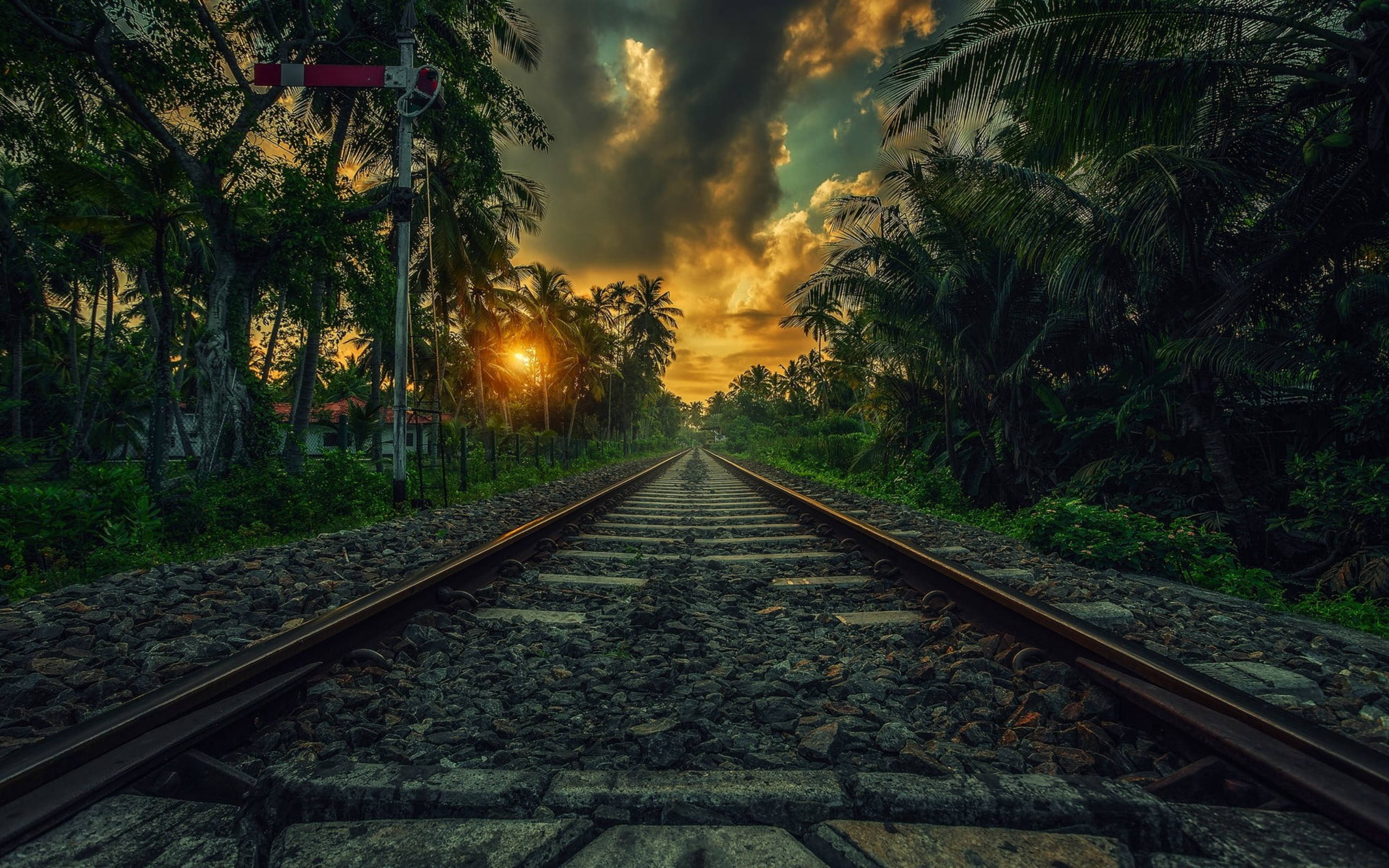 Sri Lanka 桌布 壁紙 — 鐵路軌道穿過熱帶叢林，在日落時分延伸至遠方，伴隨著戲劇性的雲彩和金色光芒。