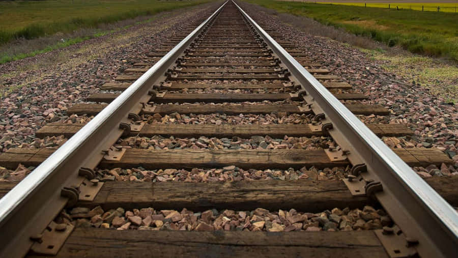 Train Tracks 桌布 壁紙 — 鐵路軌道穿過草地，在晴朗的天空下延伸至遠方。