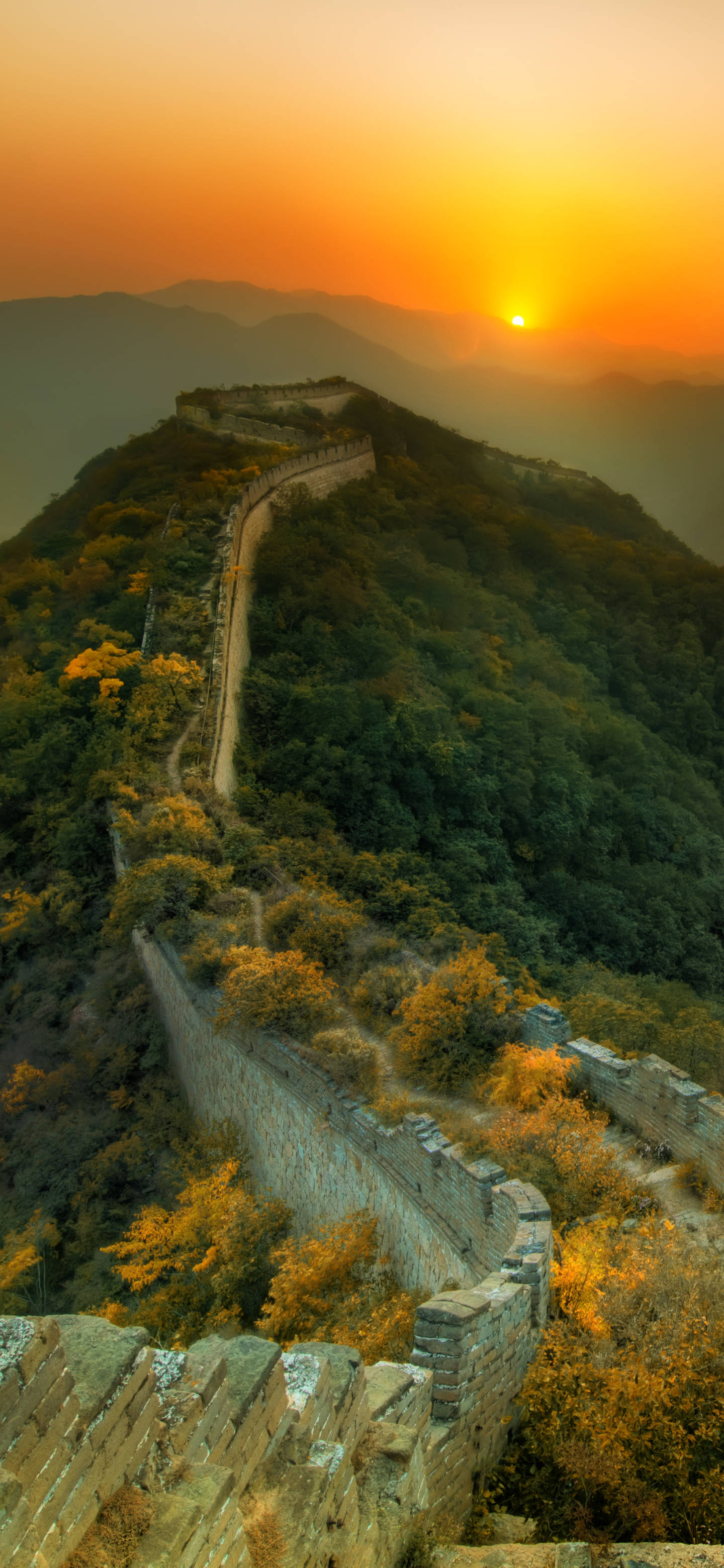 iPhone 13 Pro 桌布 壁紙 — 長城在霧氣籠罩的山巒間蜿蜒，夕陽如火般橙紅，將金色光芒灑在秋日的樹木上。
