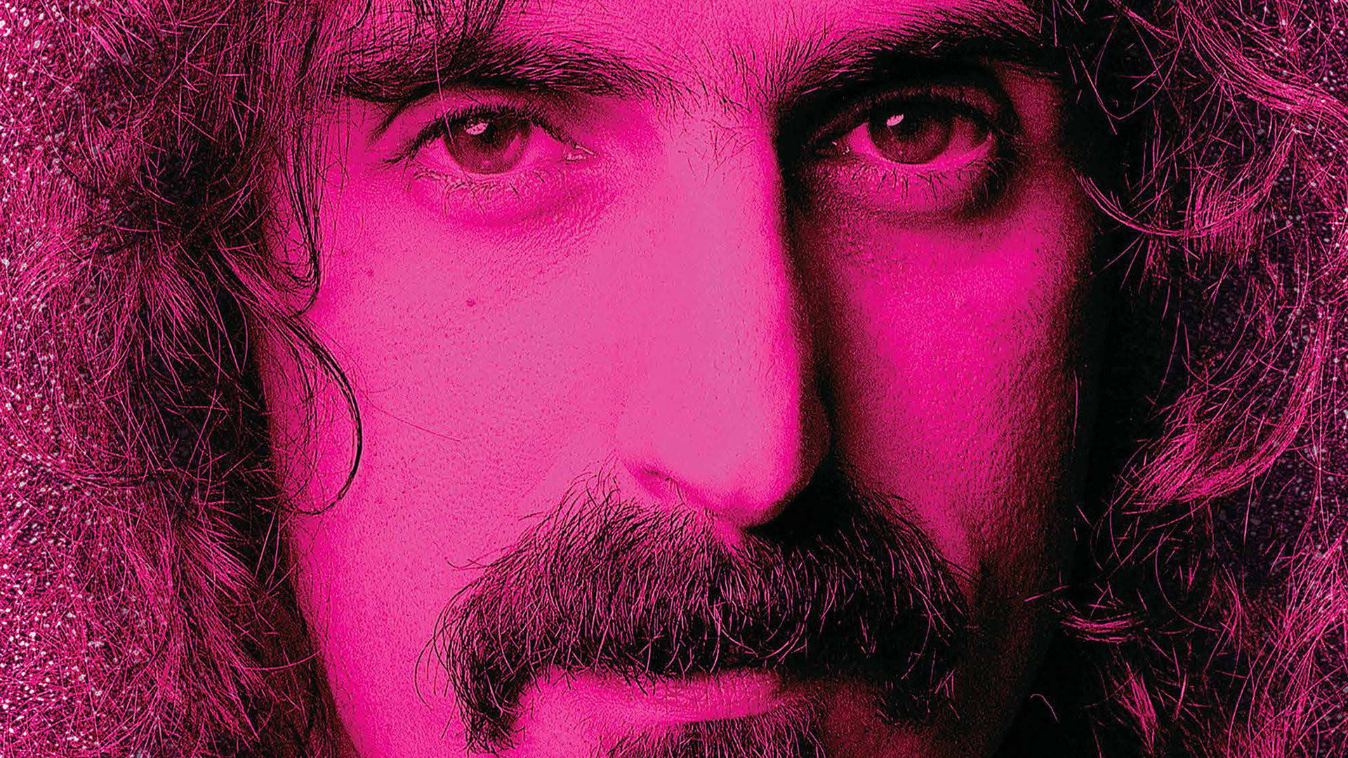Zappa 桌布 壁紙 — 長捲髮和鬍鬚男子的特寫肖像，沐浴在強烈的粉紅光中。