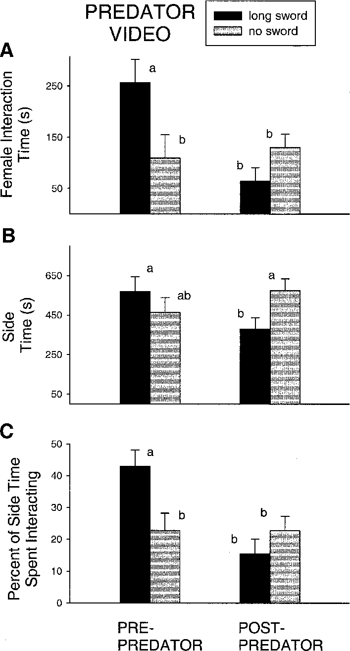 Bar Graph 桌布 壁紙 — 長條圖顯示在有和沒有長劍的捕食者影片實驗中，雌性互動時間、側面時間以及用於互動的側面時間百分比。