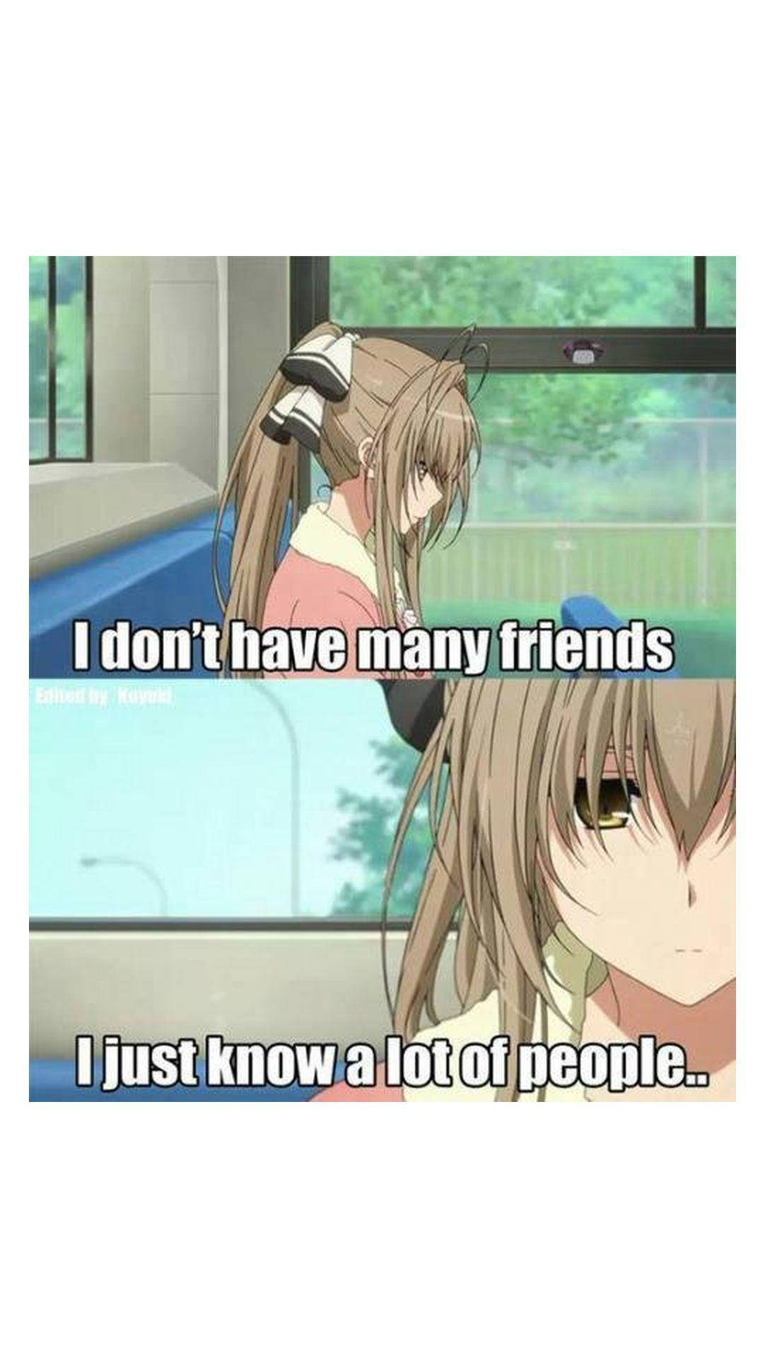 Friends 桌布 壁紙 — 長棕髮動漫女孩坐在窗邊低頭看，文字寫著「我沒有很多朋友」和「我只是認識很多人。」