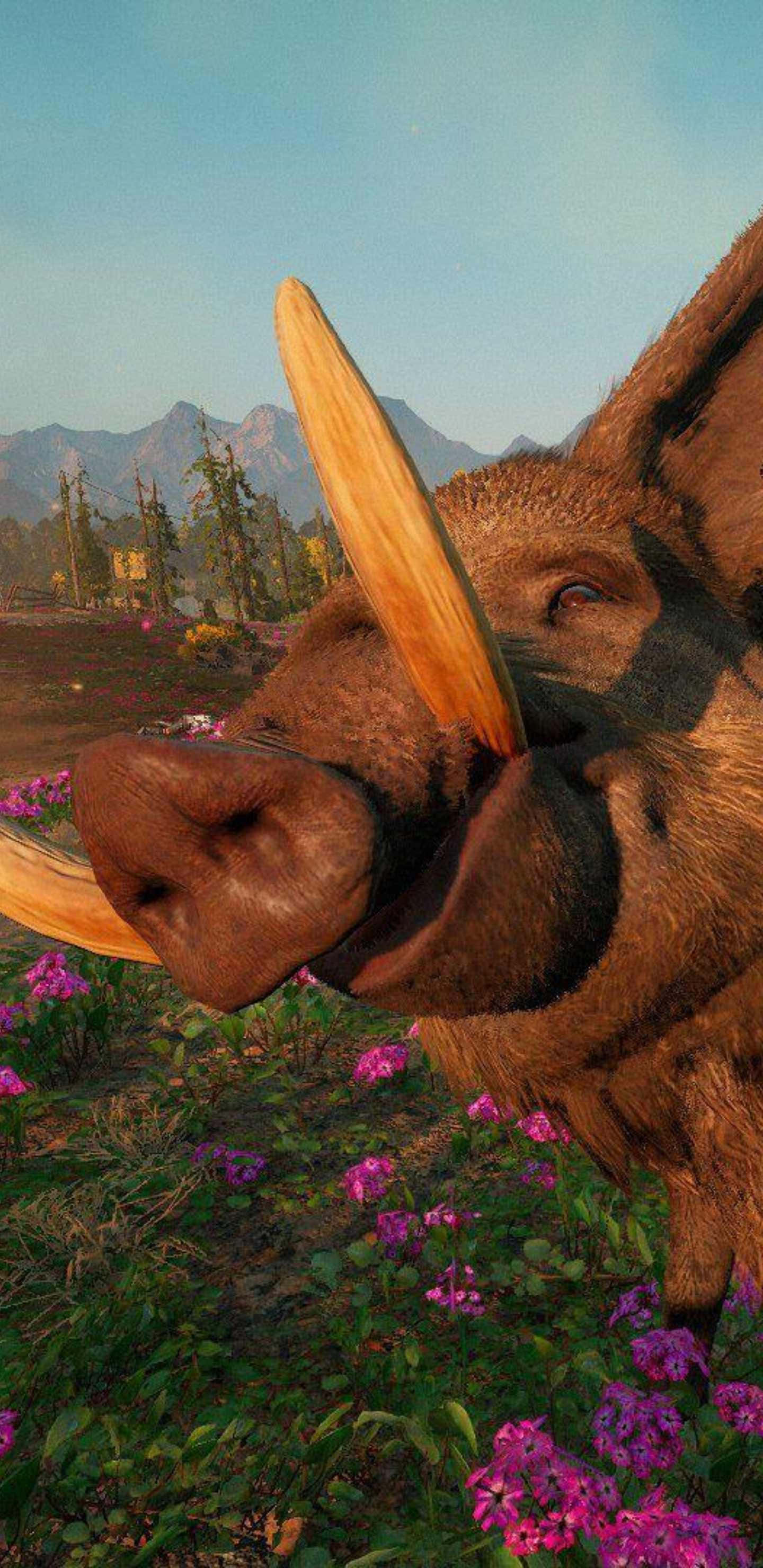 Android Far Cry New Dawn 桌布 壁紙 — 長毛象特寫，有巨大彎曲象牙，站在紫色花田中，背景有山脈。