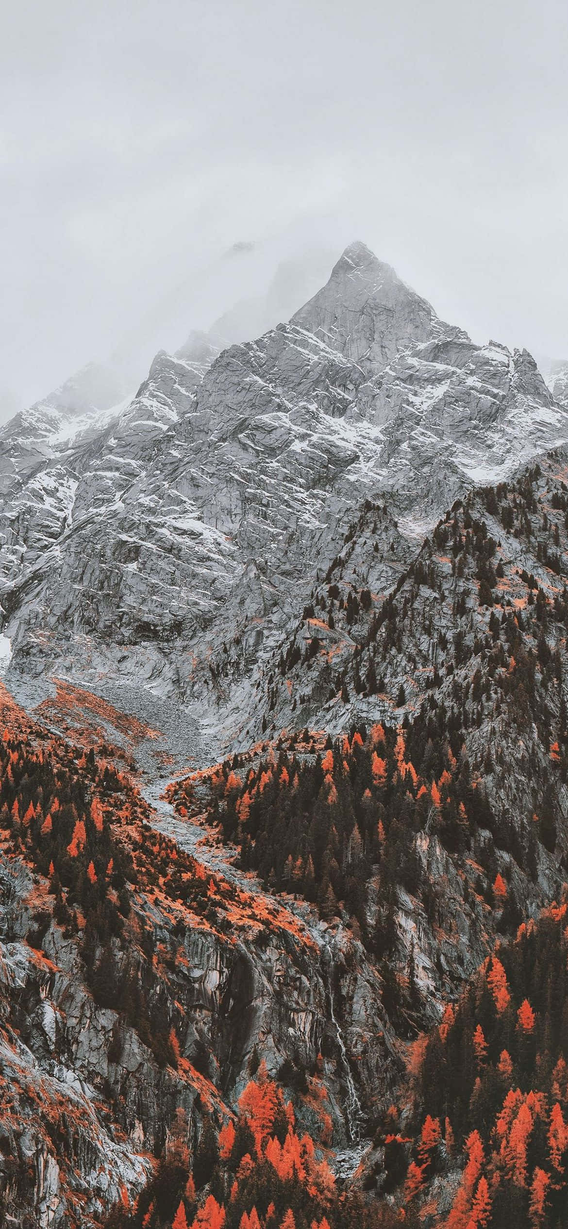 山脈，紅色樹木與一座山 壁紙