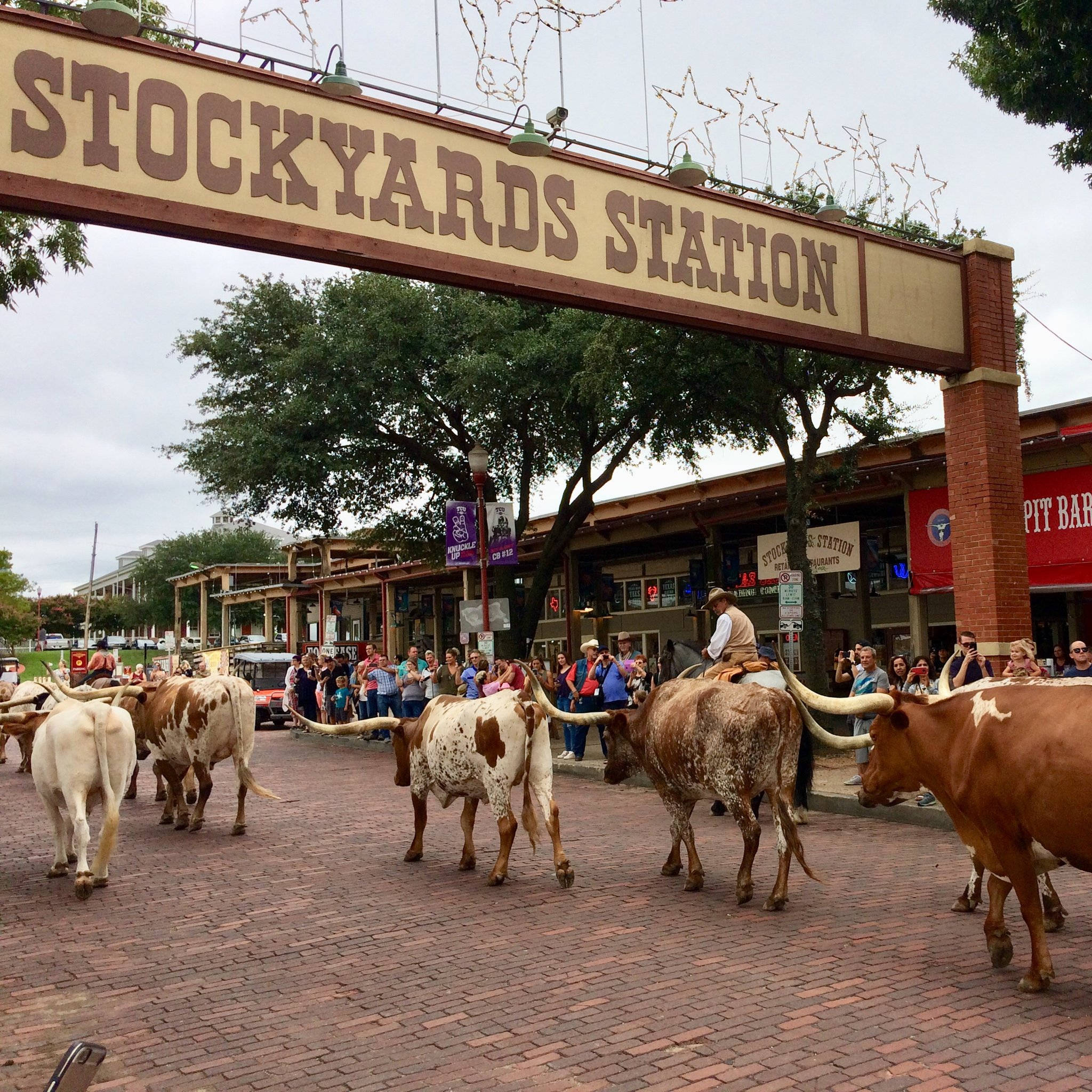 Worth 桌布 壁紙 — 長角牛在「Stockyards Station」拱門下游行，旁觀者在多雲的日子觀看。