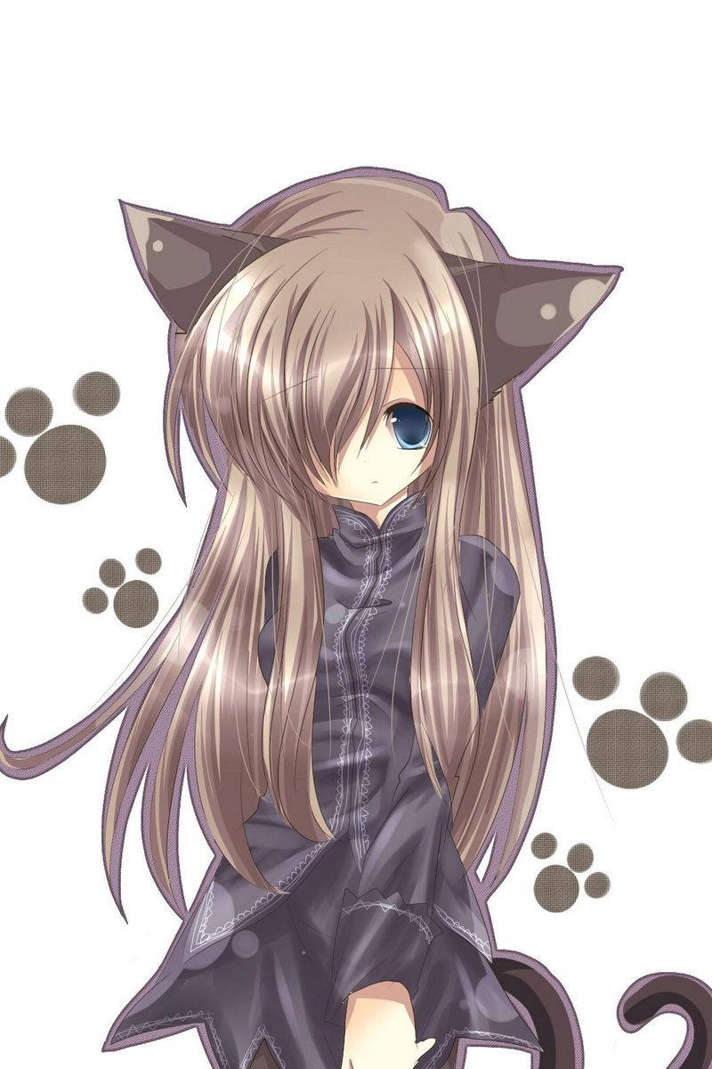 動漫女孩 桌布 壁紙 — 長金髮貓耳動漫少女，身穿深色服裝，周圍有爪印。