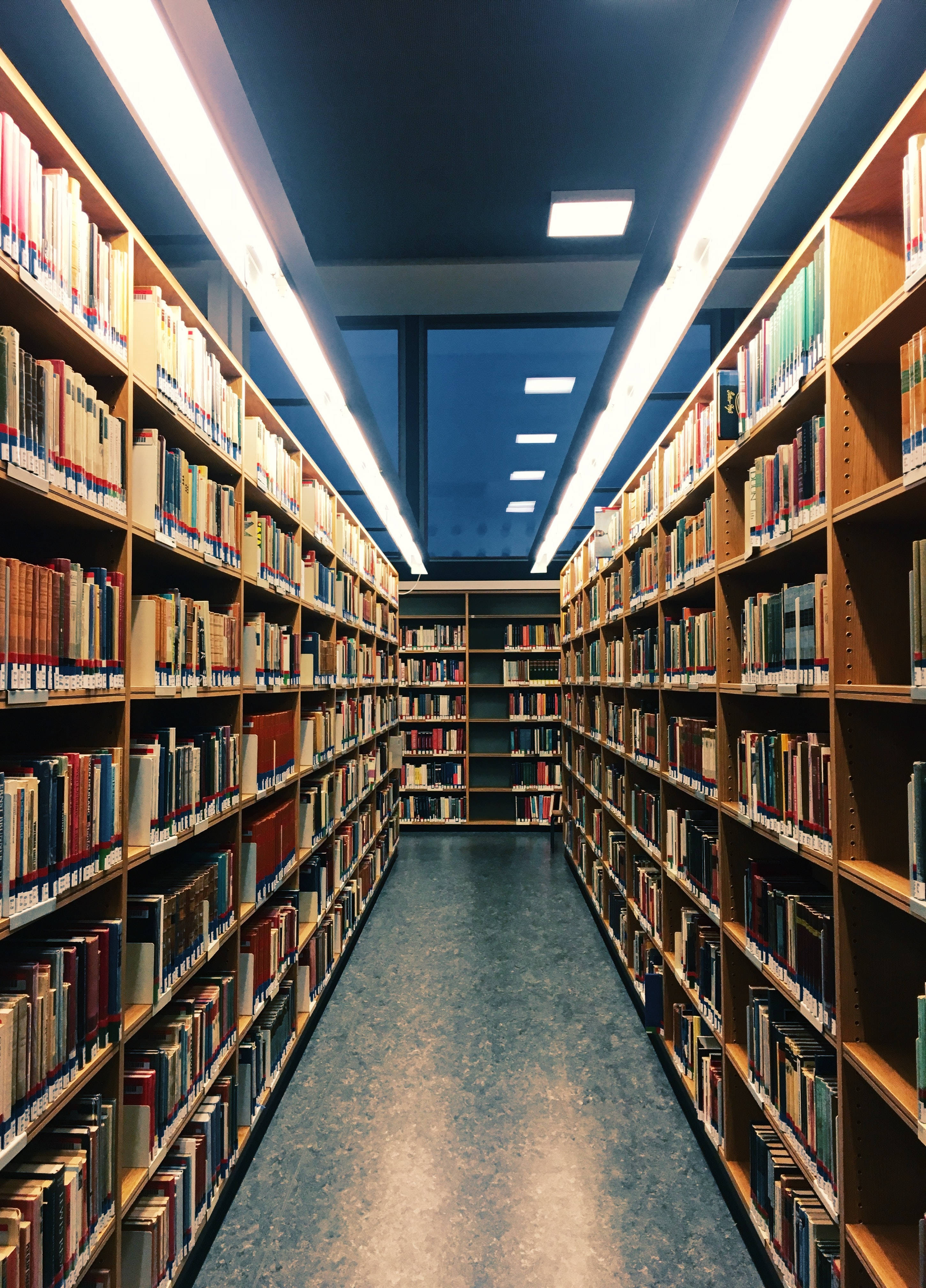 書本 桌布 壁紙 — 長長的圖書館通道，兩旁是高聳的木書架，上方是明亮的螢光燈。