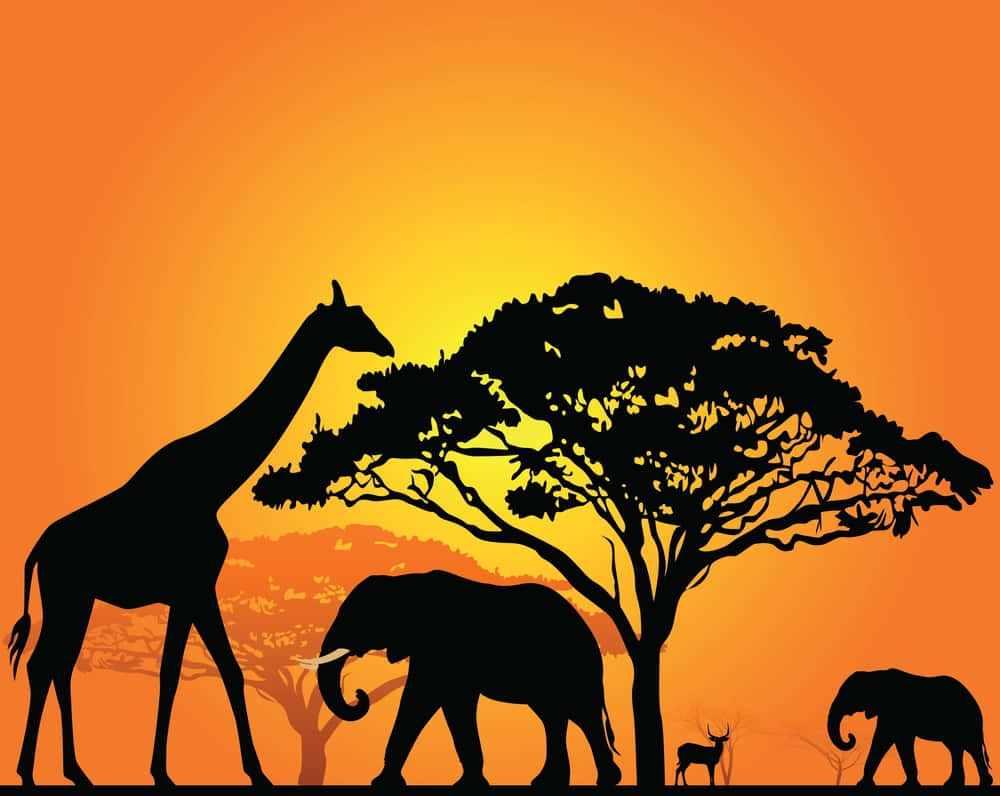 Silhouette 桌布 壁紙 — 長頸鹿、大象和羚羊的剪影在廣闊的金合歡樹下行走，背景是發光的橙色日落。