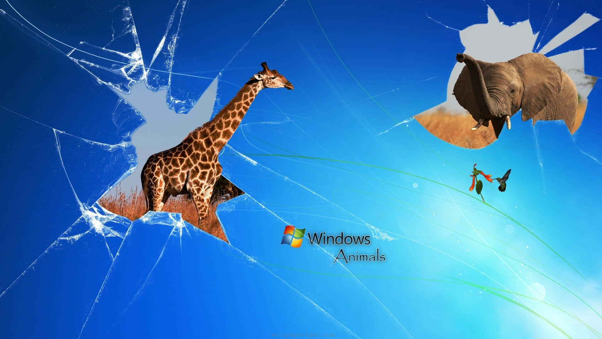 碎裂 桌布 壁紙 — 長頸鹿和大象衝破碎裂的藍色螢幕，下方有 Windows Animals 標誌。