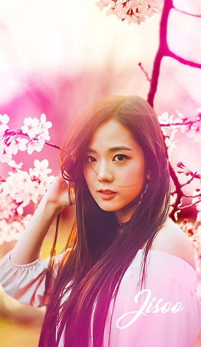 BLACKPINK 成員照片