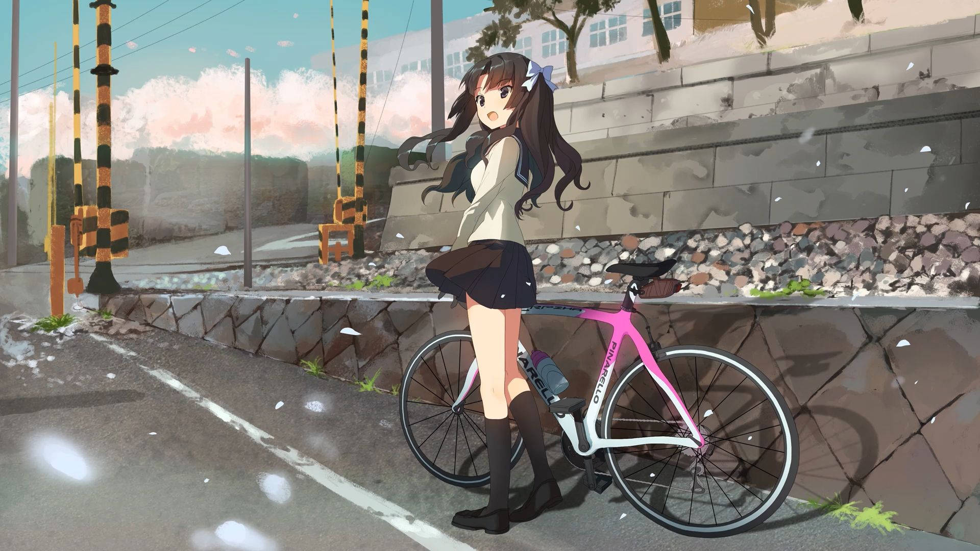 Cute Anime Boy 桌布 壁紙 — 長黑髮的動漫女孩站在鐵路平交道旁，旁邊有一輛粉紅色自行車，背景是柔和的粉彩天空。