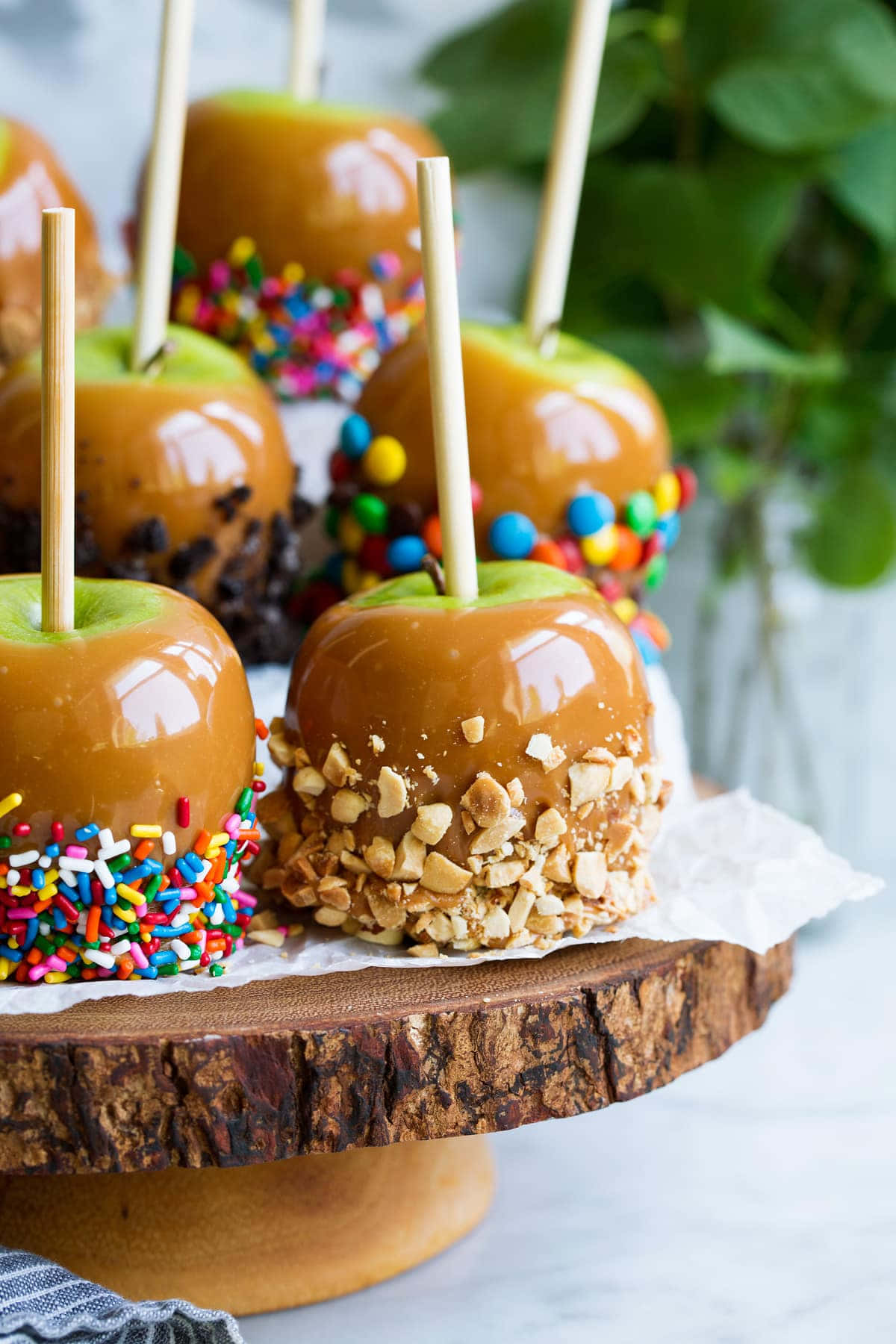 Caramel Apples 桌布 壁紙 — 閃亮的焦糖蘋果，上面綴滿彩色糖粒和碎堅果，放在質樸的木架上。