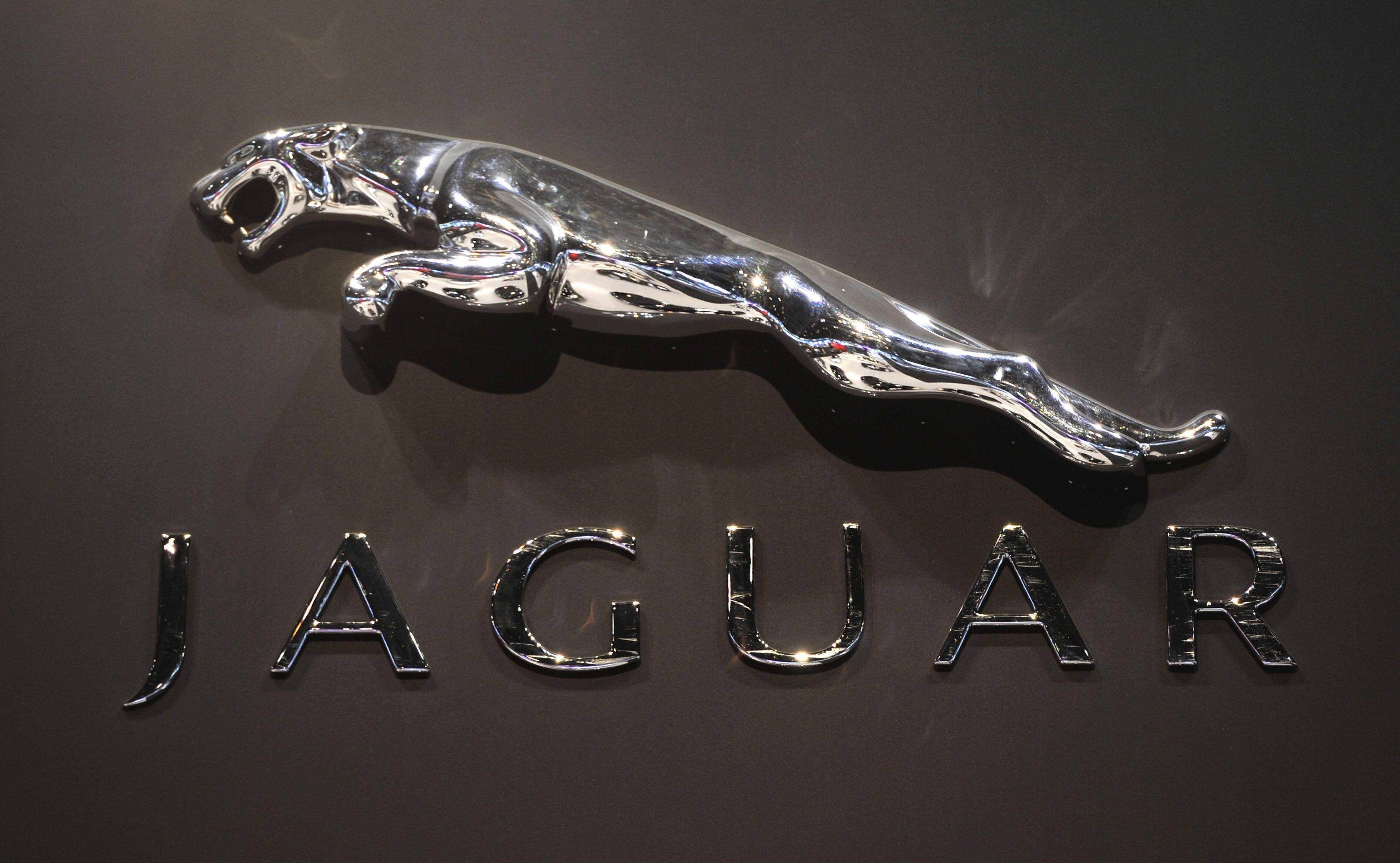 美洲豹汽車 桌布 壁紙 — 閃亮的鍍鉻美洲豹跳躍標誌和「JAGUAR」字樣安裝在深色牆上。