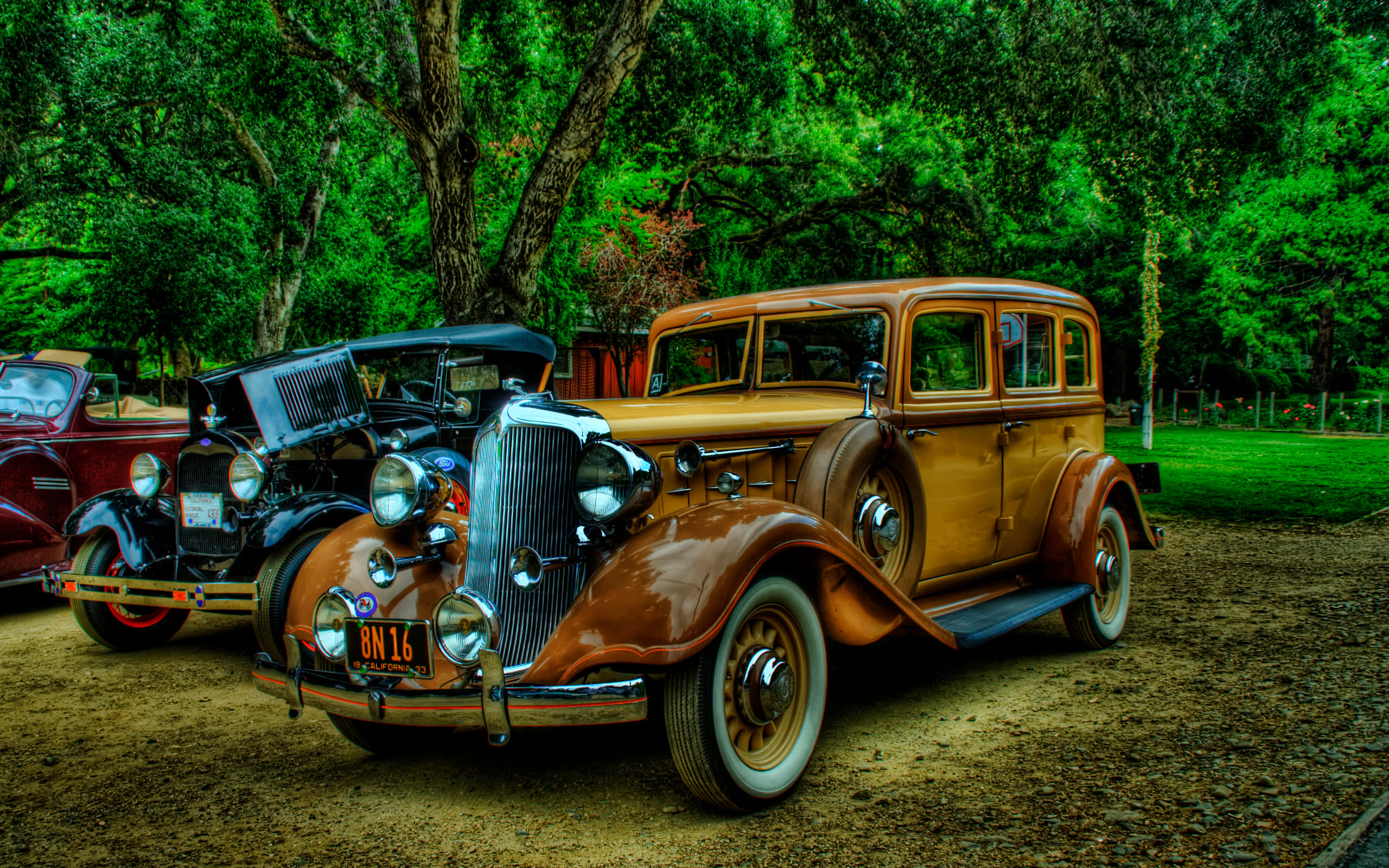 Vintage Car 桌布 壁紙 — 閃亮鍍鉻和豐富木紋鑲板的復古汽車停泊在綠樹成蔭的泥路上。