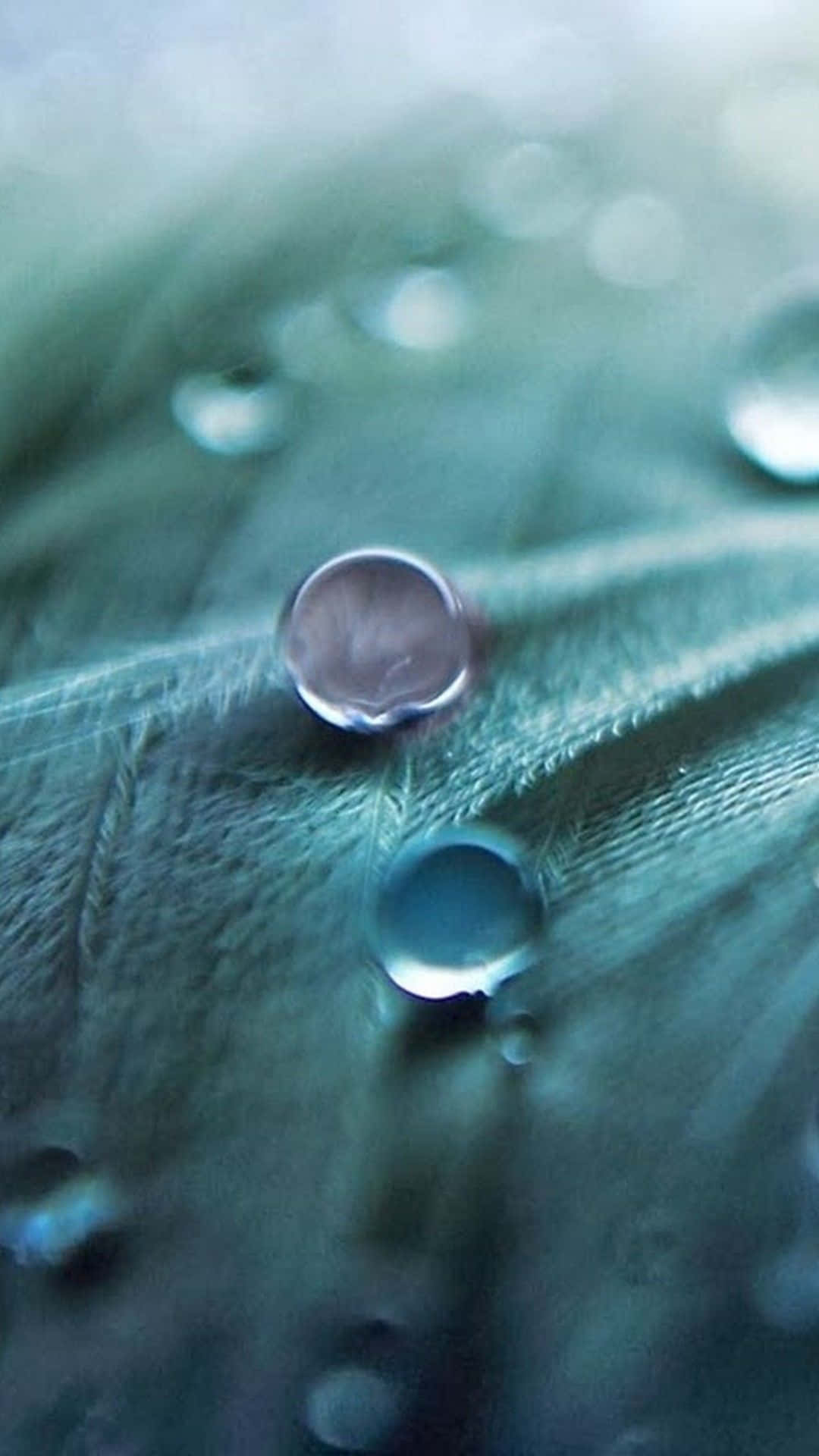 Dark Teal 桌布 壁紙 — 閃爍的水滴停留在柔軟的紋理表面上，帶有清涼的藍綠色和灰色調色板。
