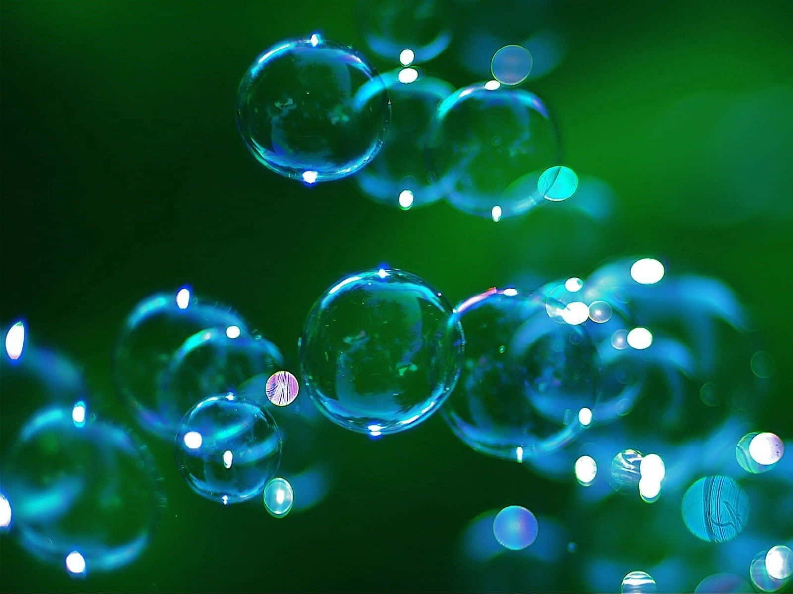 Bubbles 桌布 壁紙 — 閃爍的藍色氣泡在深綠色背景上漂浮，帶有柔和的散景高光。