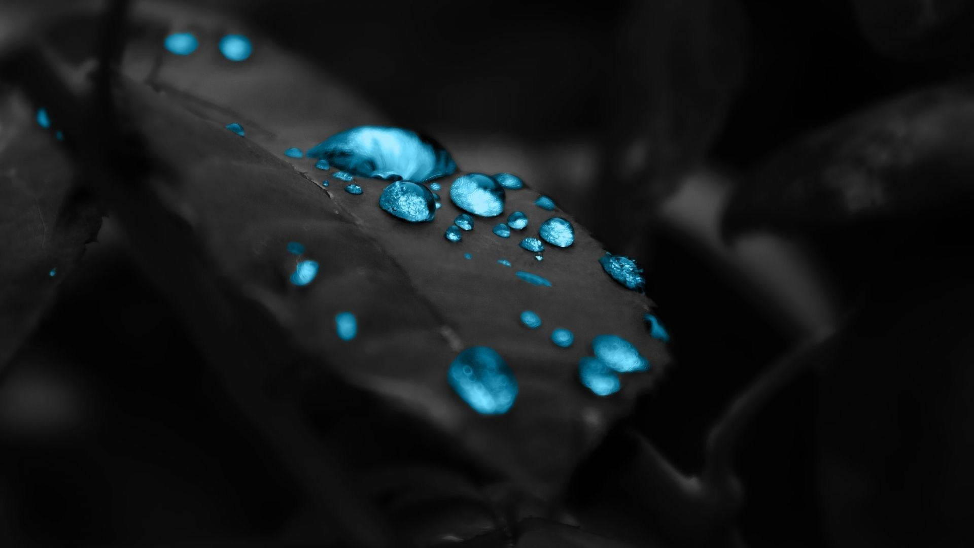 霓虹藍美學 桌布 壁紙 — 閃爍的藍色水滴停留在深色葉片上，形成高對比度的單色場景。