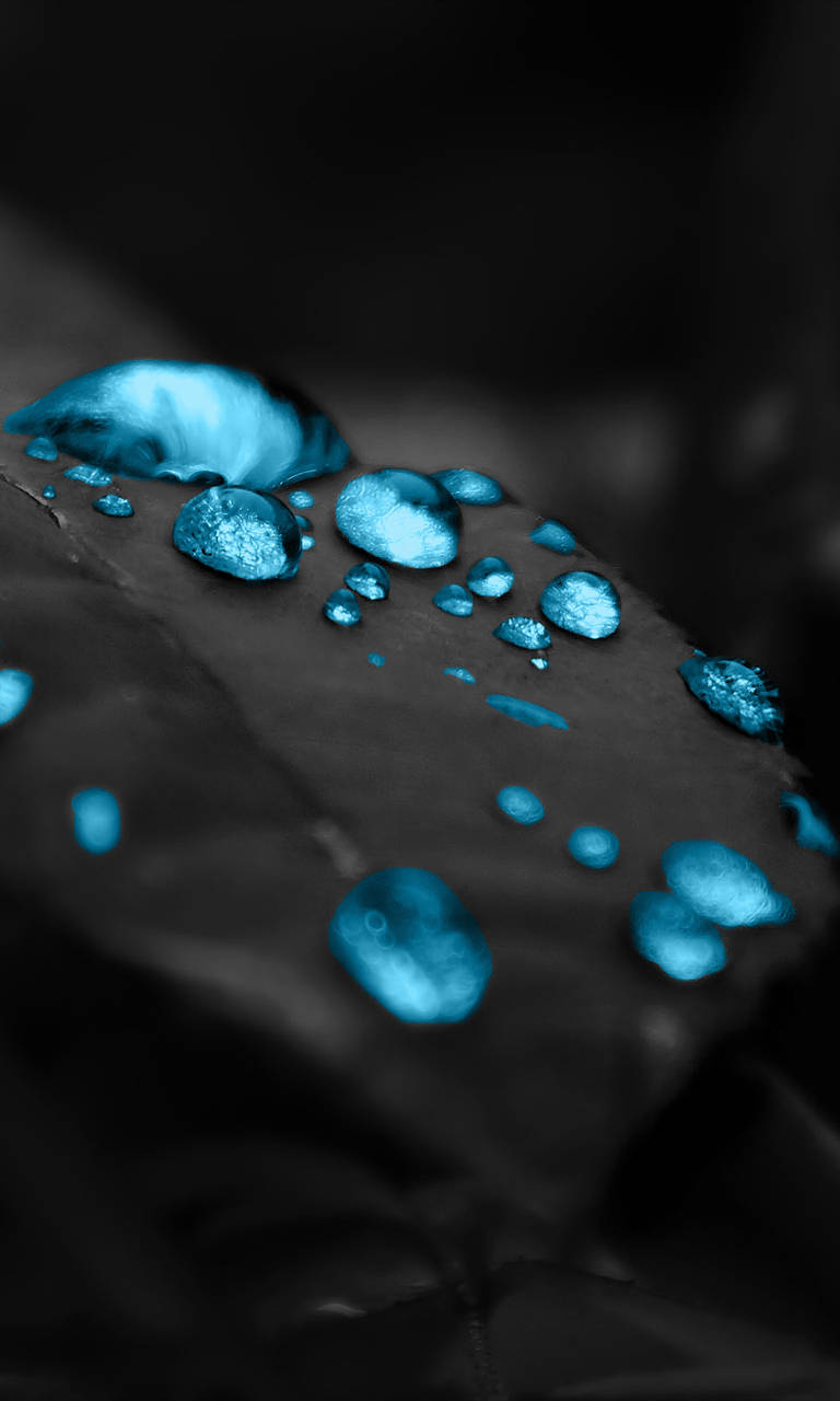 Leaf 桌布 壁紙 — 閃爍的青色水滴停留在深色葉片上，形成高對比度的單色構圖。