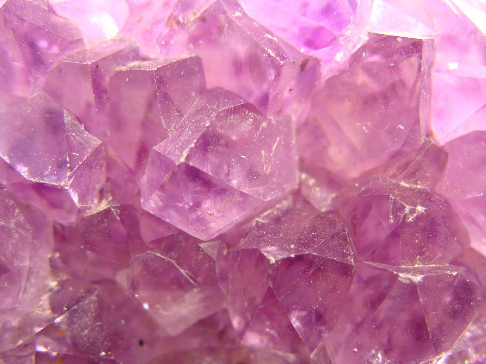 Healing Crystals 桌布 壁紙 — 閃爍紫色紫水晶晶體的近距離特寫，具有銳利的刻面和柔和的內部反射。