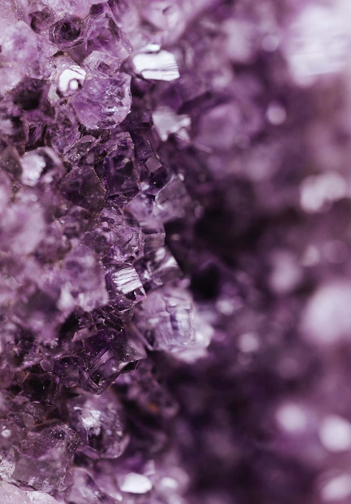 紫水晶 桌布 壁紙 — 閃爍紫色紫水晶晶體的近距離特寫，具有銳利的刻面和柔和的散景背景。