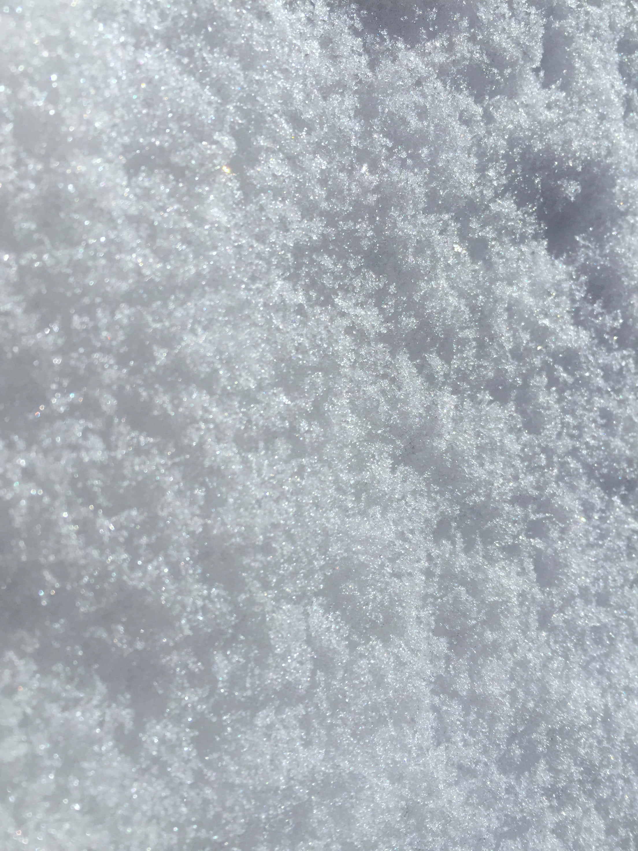 雪 桌布 壁紙 — 閃爍雪晶的特寫，捕捉陽光形成複雜的霜凍圖案。