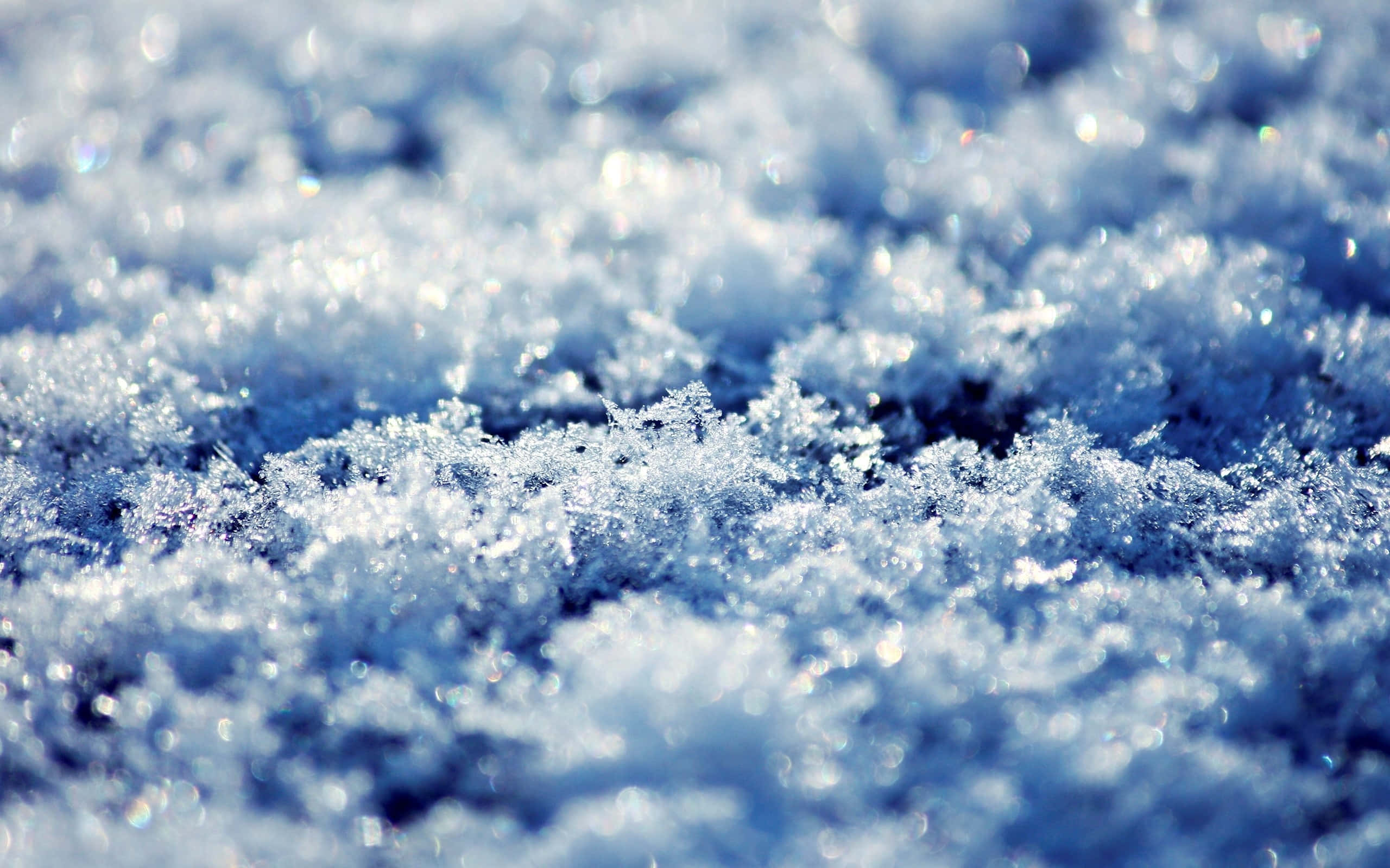 冰 桌布 壁紙 — 閃爍雪花在陽光下捕捉光線的特寫，帶有柔和藍白色調。
