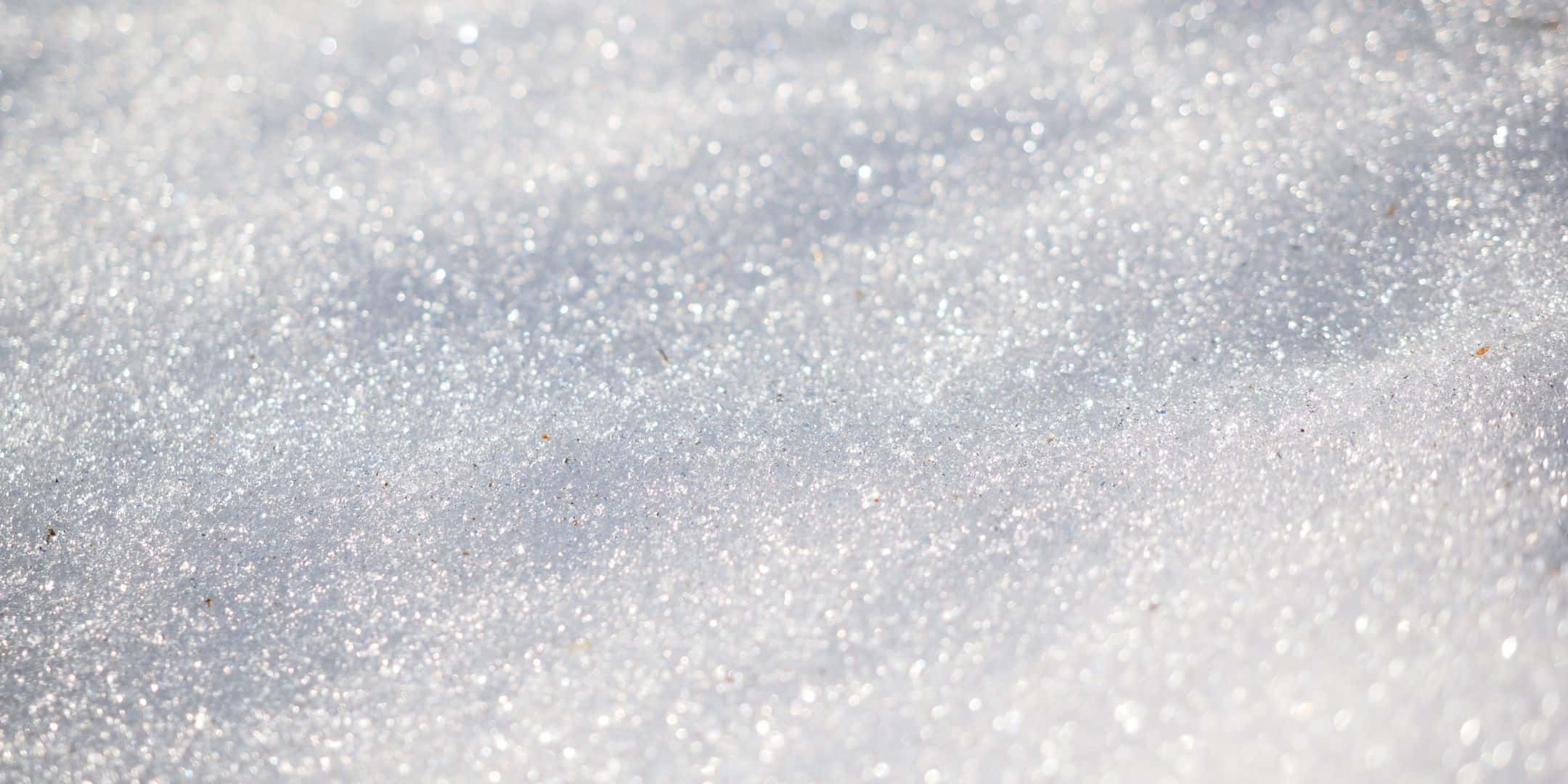 Shimmer 桌布 壁紙 — 閃爍雪花結晶的特寫，捕捉陽光，帶有柔和的白色和銀色亮點。