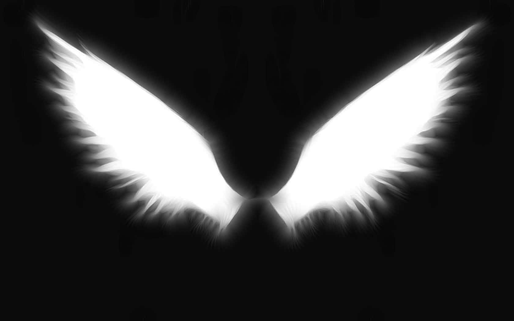 Angel Wings 桌布 壁紙 — 閃耀的白色翅膀在純黑背景上發光，帶有柔軟的羽毛邊緣和強烈的對比。