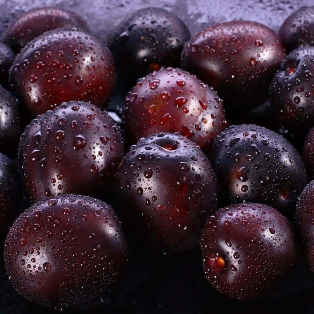 Fruits 桌布 壁紙 — 閃閃發光的深紫色李子覆蓋著露珠，在特寫鏡頭中停留在深色背景上。