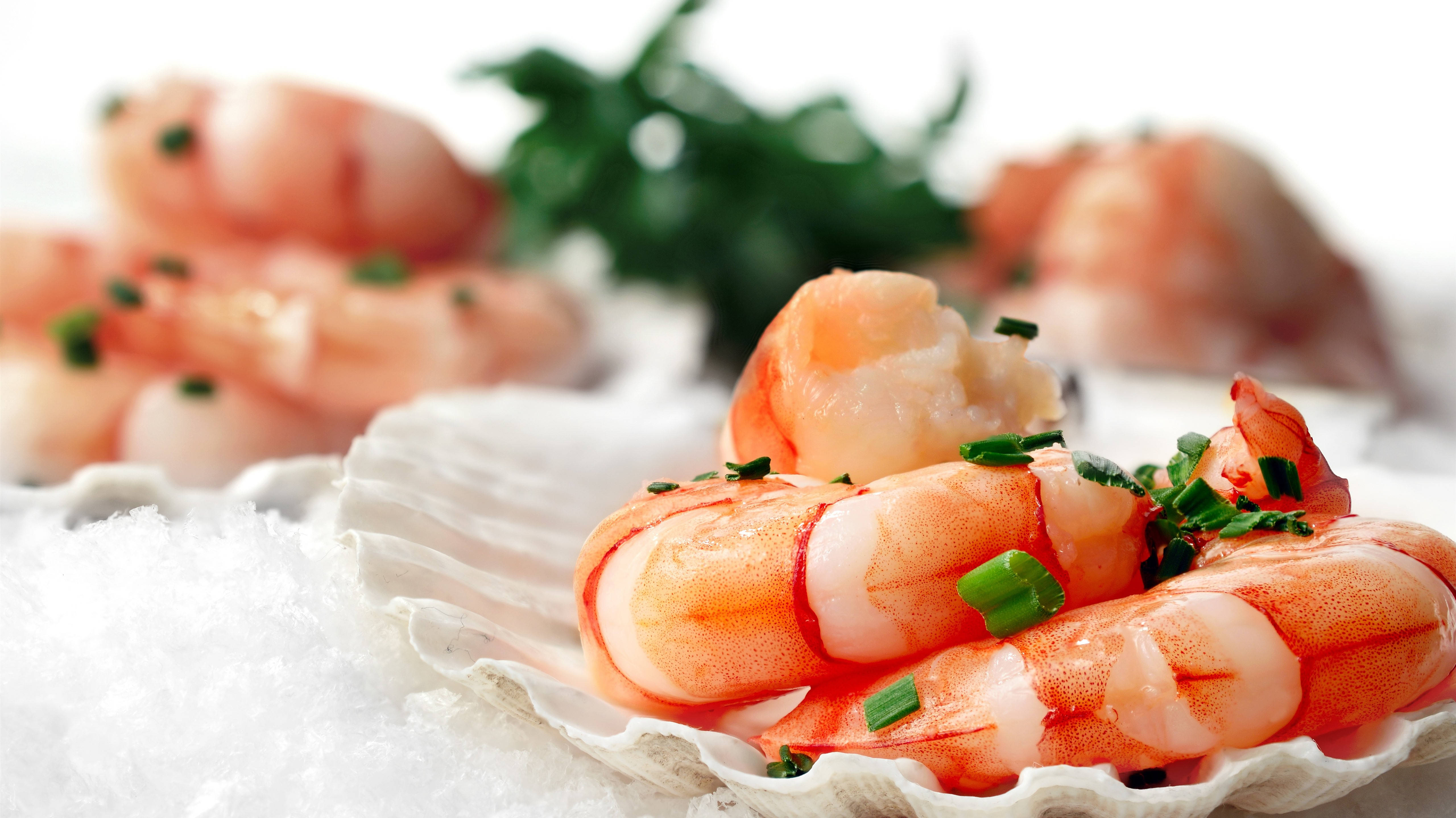 Seafood 桌布 壁紙 — 閃閃發光的熟蝦配上青蔥，放在白色扇貝殼上，置於碎冰之上，背景有新鮮香草，呈現柔和焦點。