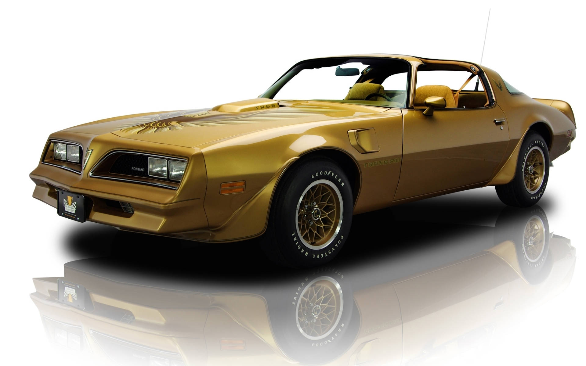 龐蒂克 桌布 壁紙 — 閃閃發光的金色Pontiac Trans Am肌肉車，具有反光表面和精細的車輪。
