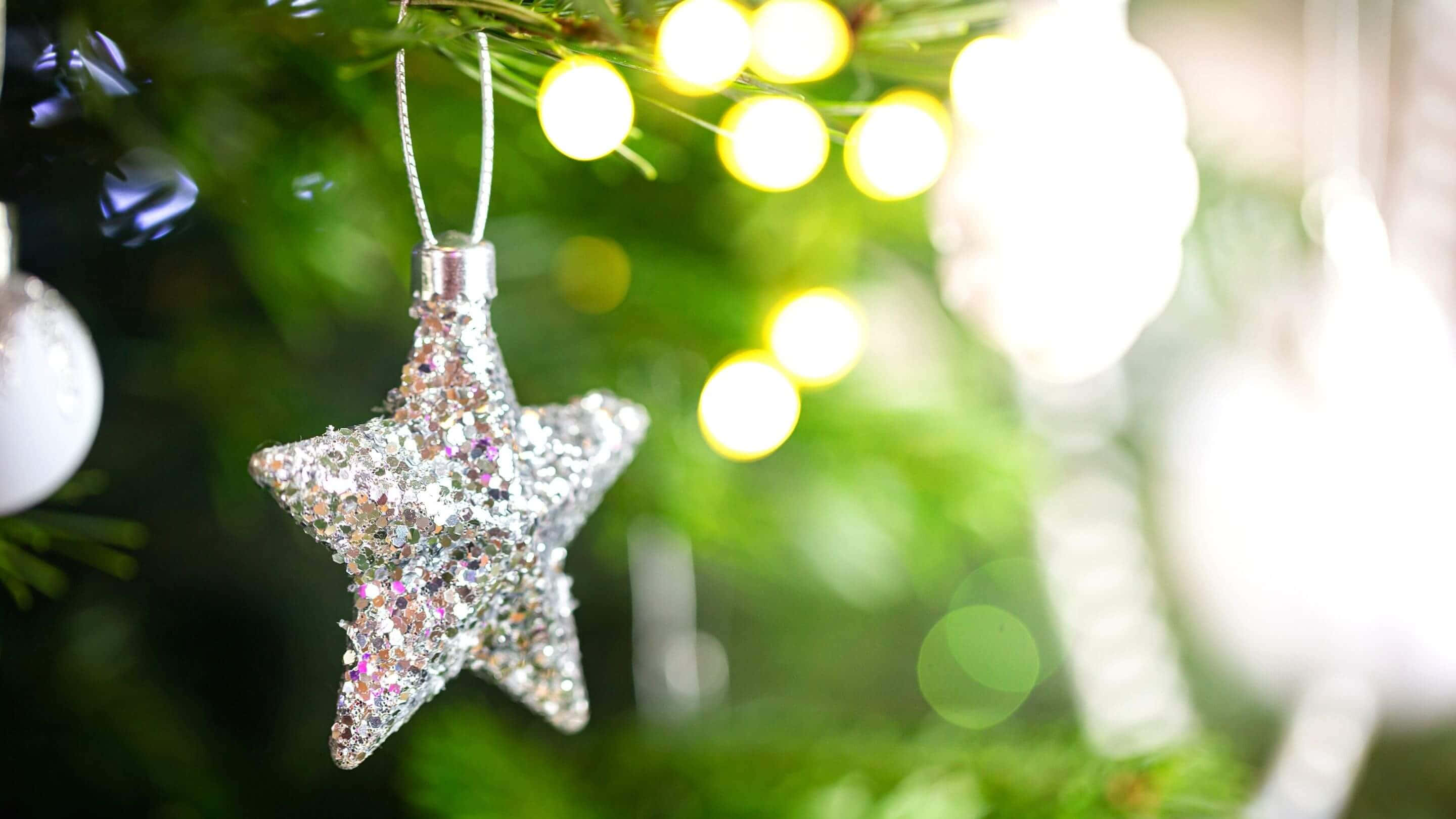 Christmas Star 桌布 壁紙 — 閃閃發光的銀色星星裝飾掛在綠色松樹枝上，背景中溫暖的散景燈光柔和地發光。