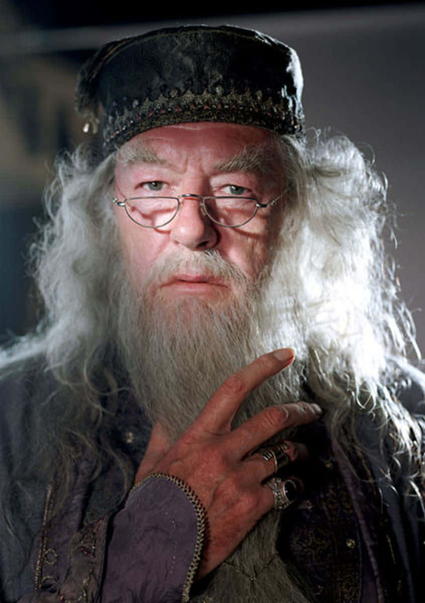 The Prisoner Of Azkaban 桌布 壁紙 — 阿不思·鄧不利多的特寫肖像，長長的白髮和白鬍子，戴著圓形眼鏡和尖頂帽。