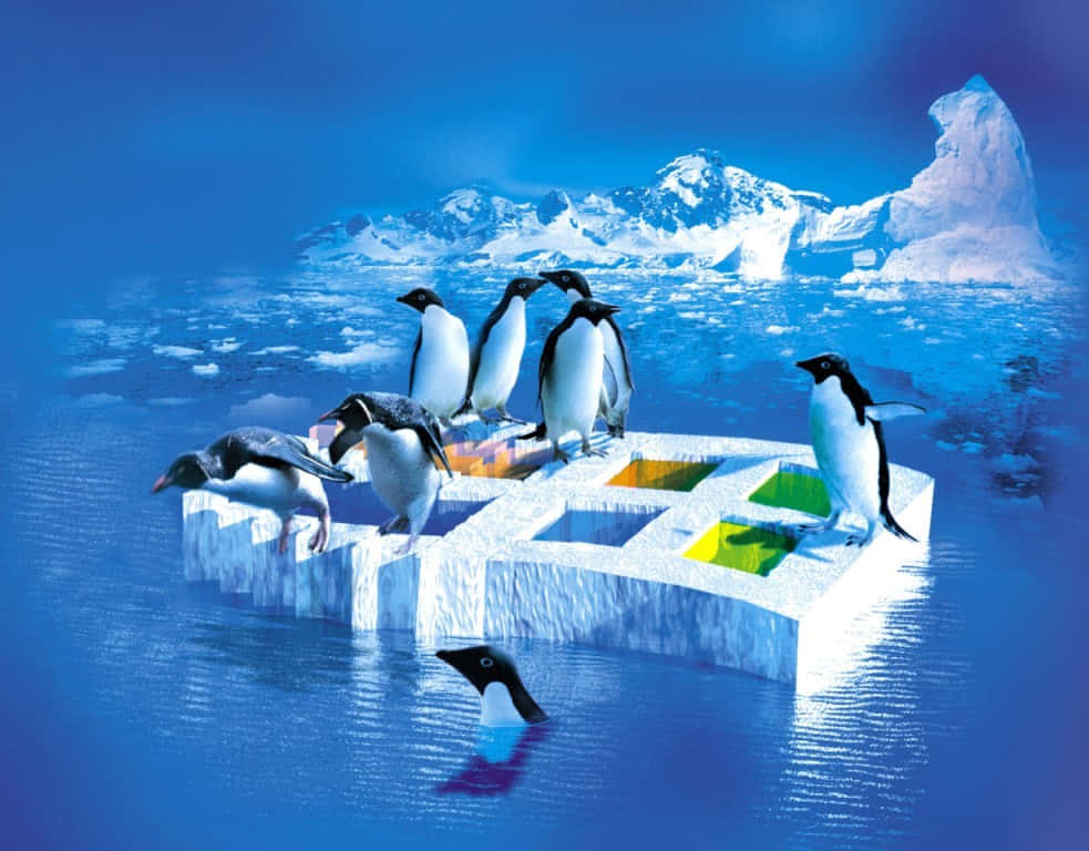 Penguin Tux 桌布 壁紙 — 阿德利企鵝聚集在一個帶有彩色方塊的浮冰塊上，其中一隻在積雪山脈附近的冰藍色海水中潛水。