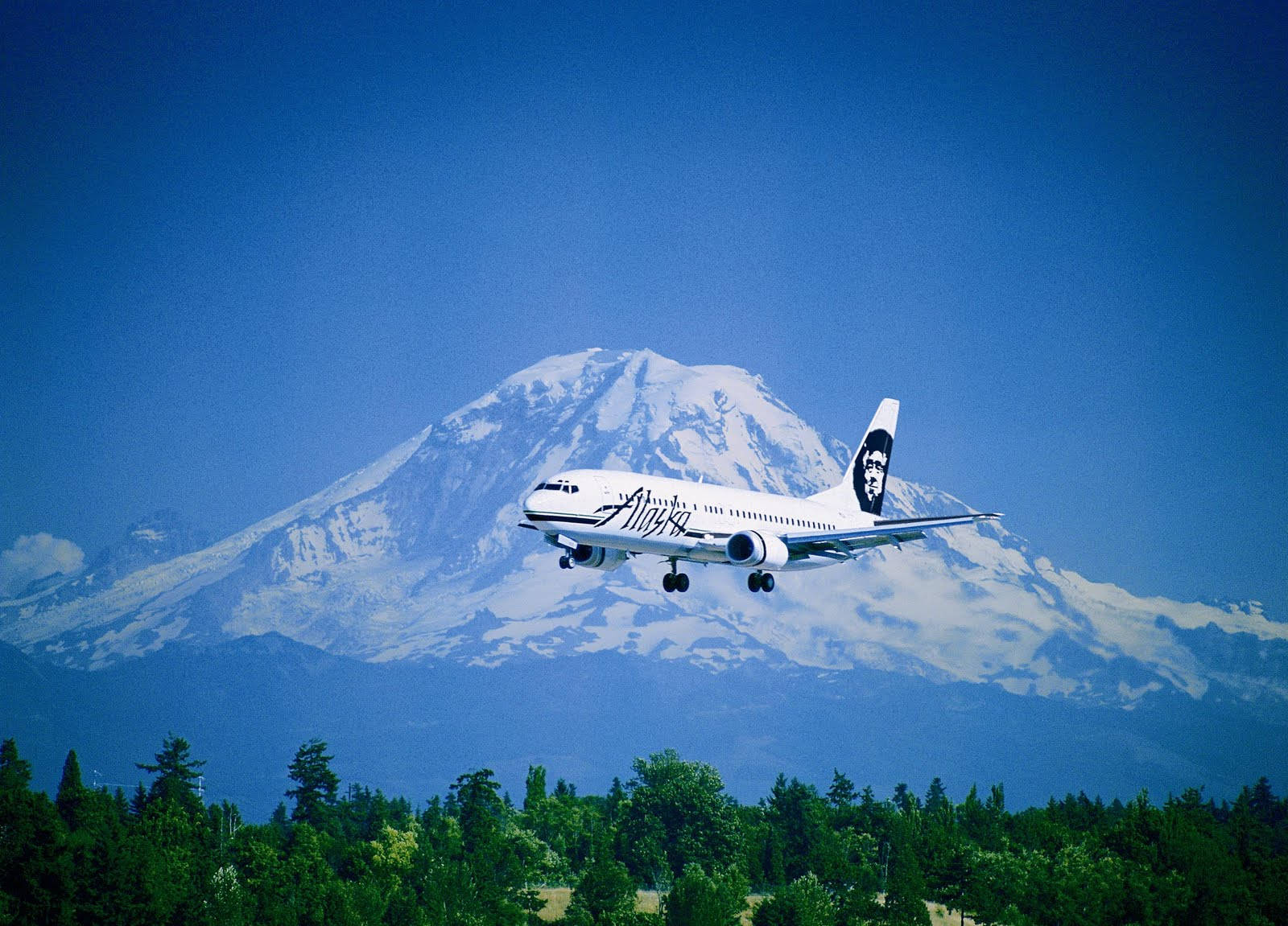  壁紙 — 阿拉斯加航空的飛機低飛過茂密的綠色森林，背景是白雪覆蓋的雷尼爾山，在清澈的藍天下巍然聳立。