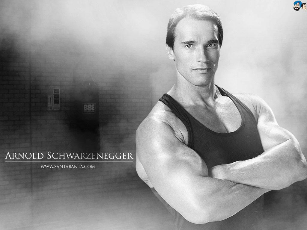 Arnold 桌布 壁紙 — 阿諾·史瓦辛格自信地站立，身穿黑色背心，雙臂交叉，背景是煙霧瀰漫的磚牆。
