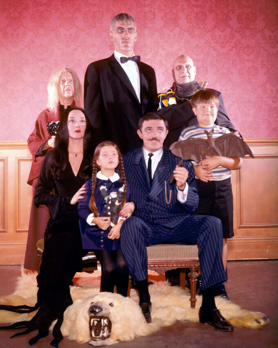 Addams Family 桌布 壁紙 — 阿達一族在哥德式豪宅中正式擺姿勢，配有粉紅色錦緞壁紙和一張咆哮的北極熊地毯。