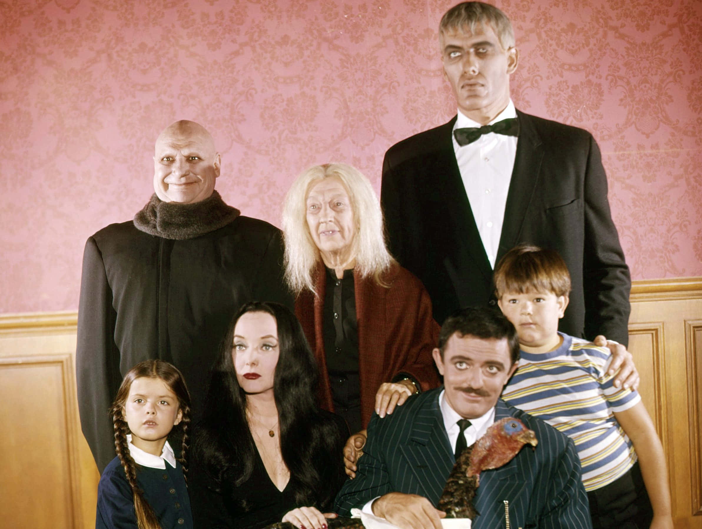 Addams Family 桌布 壁紙 — 阿達一族在哥德式豪宅中正式擺姿勢，背景有粉紅色錦緞壁紙和木鑲板。
