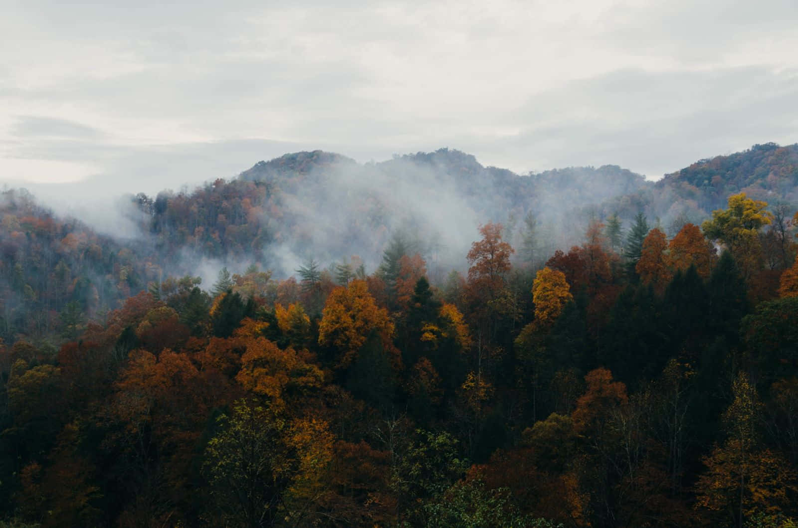 Fall Mist 桌布 壁紙 — 陰天之下，霧氣瀰漫的秋山披上鮮豔的橙色和綠色樹葉。