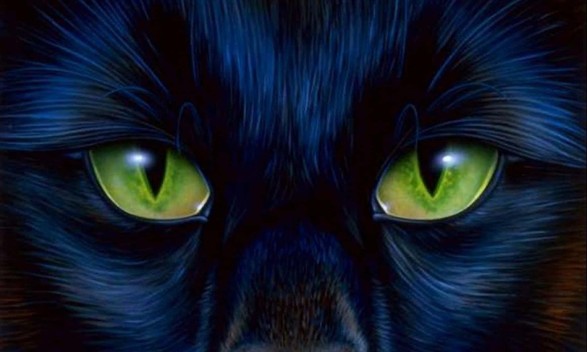 Cat Eyes 桌布 壁紙 — 陰暗燈光下，黑貓發光的綠色眼睛特寫，藍色毛髮細節清晰可見。