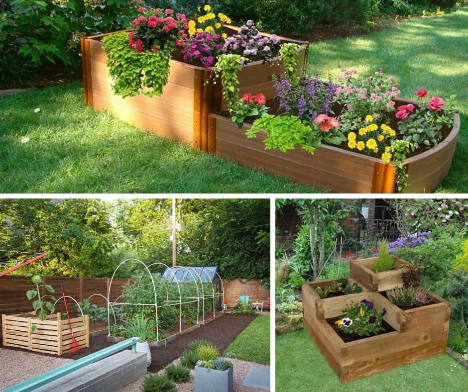 Garden Bed 桌布 壁紙 — 陽光充足的後院裡，木製高架花床開滿了色彩繽紛的花朵和綠植。