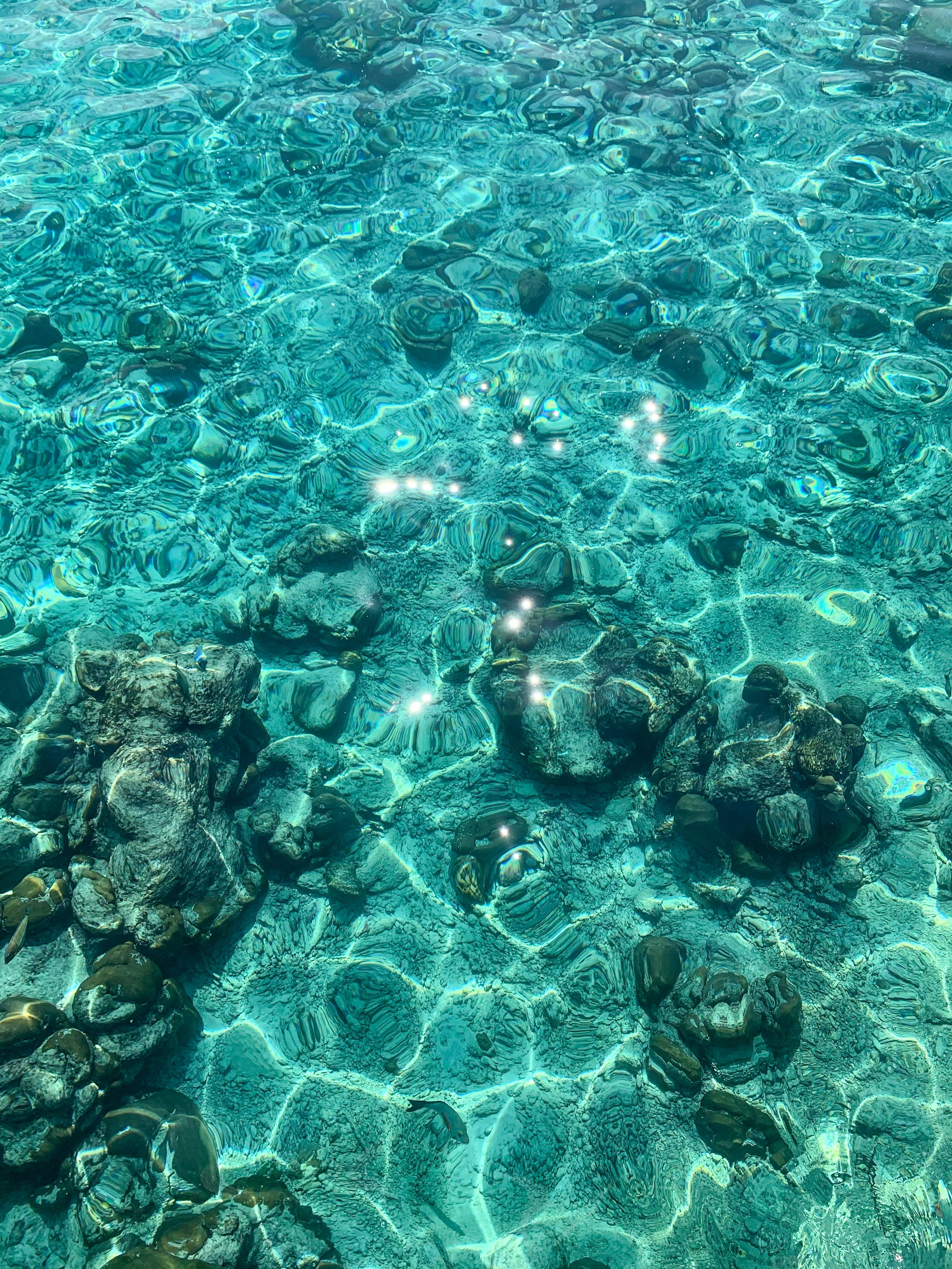 海洋藍 桌布 壁紙 — 陽光在水晶般清澈的碧綠水面上舞動，顯露出下方光滑的深色岩石。