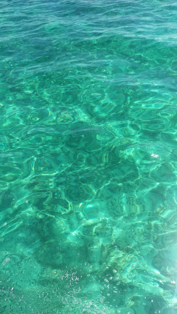 海洋 桌布 壁紙 — 陽光在水晶般清澈的碧綠水面上舞動，顯現出漣漪圖案和下方的岩石。
