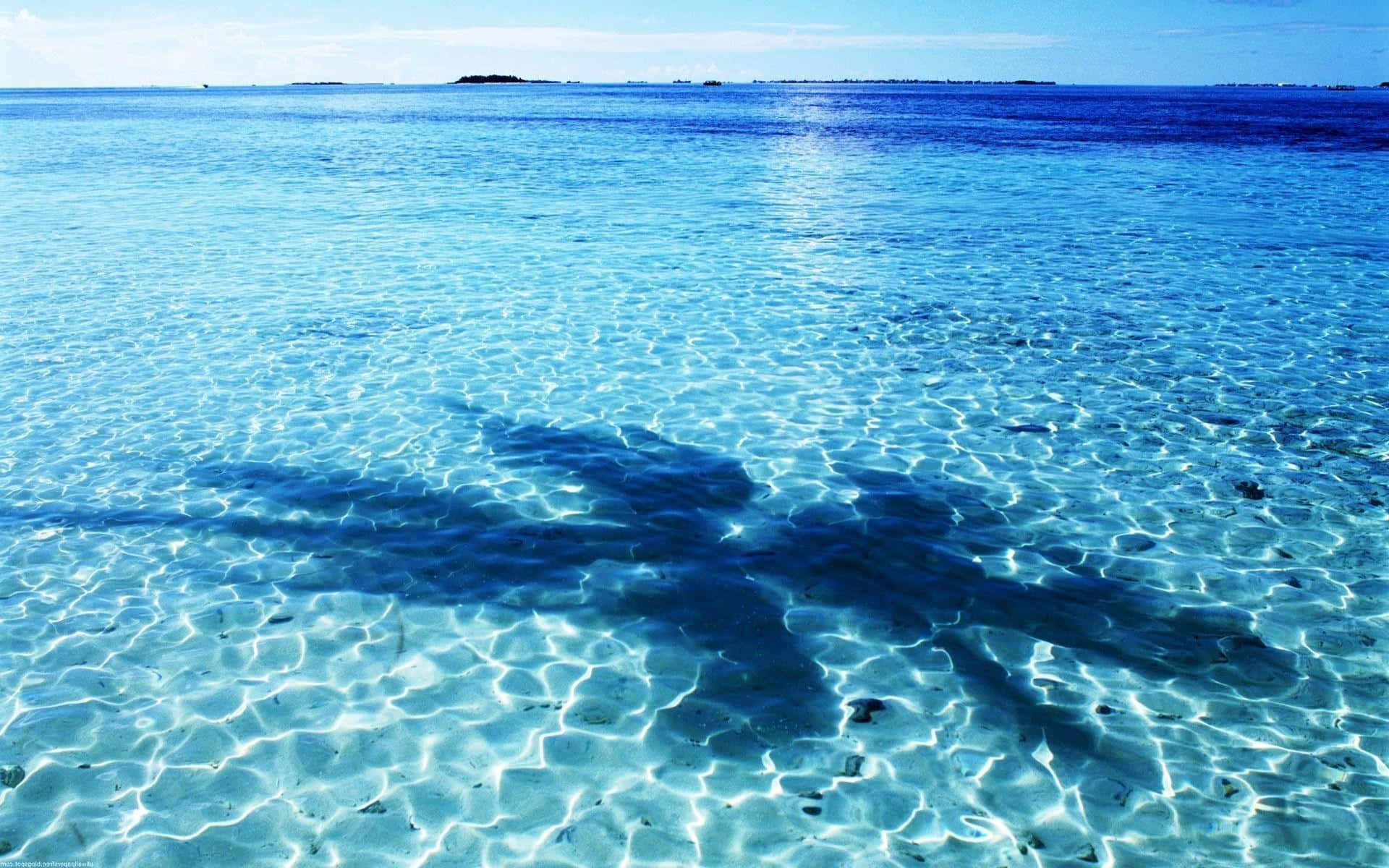 海洋藍 桌布 壁紙 — 陽光在水晶般清澈的碧綠海水上舞動，顯露出沙質海底和遠處的島嶼，在明亮的藍天下。