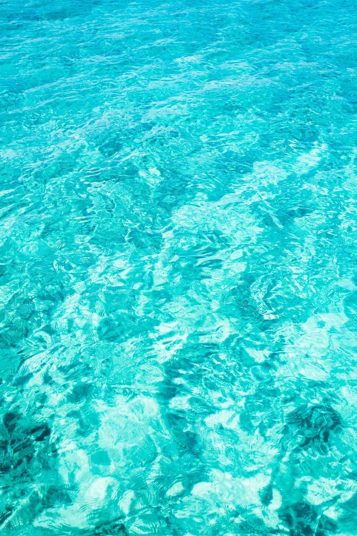 桌布 壁紙 — 陽光在水晶般清澈的碧綠海面上舞動，顯露出柔和漣漪下的岩石海底。
