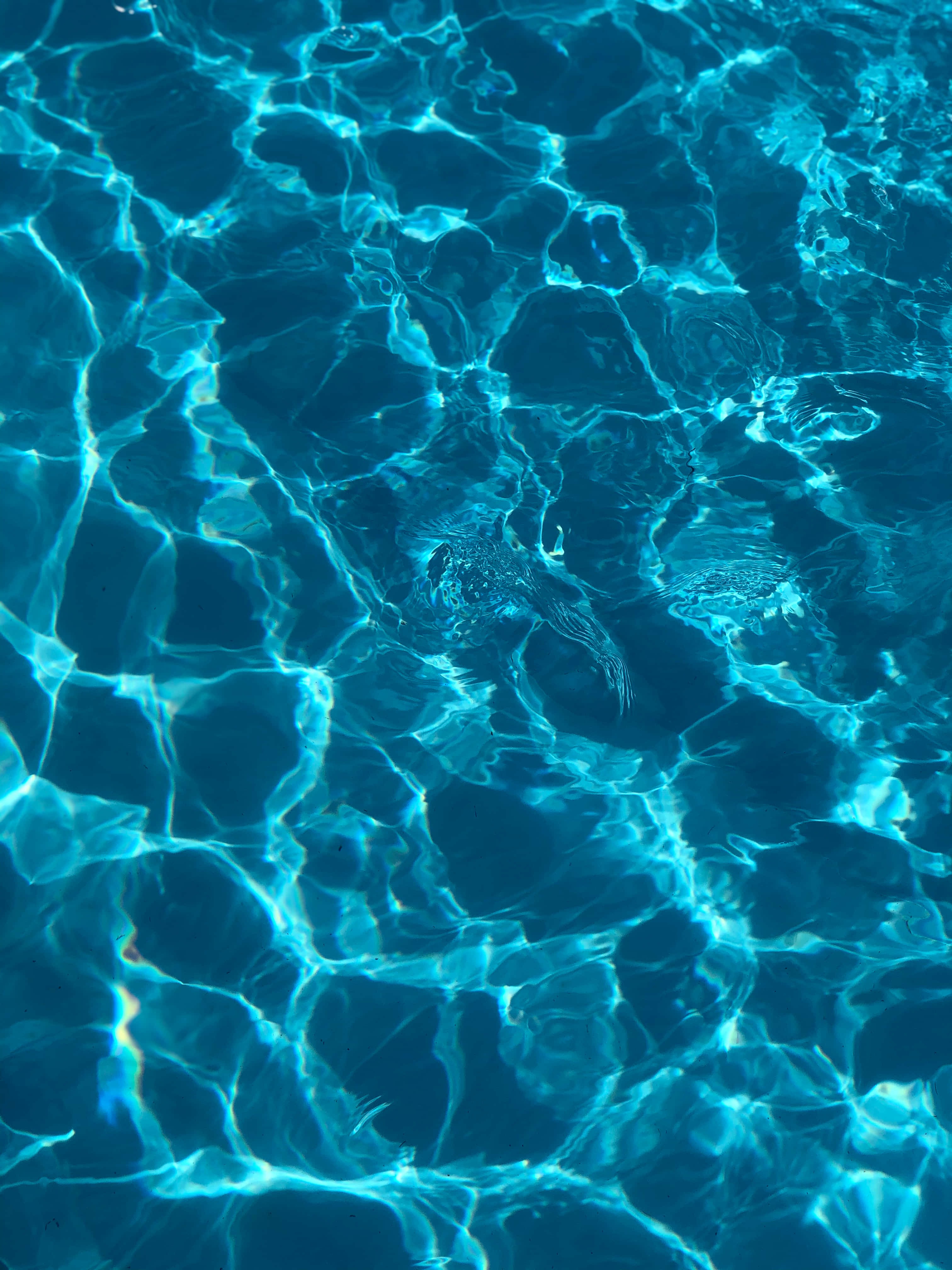 Swimming Pool 桌布 壁紙 — 陽光在清澈藍色游泳池的漣漪表面上舞動，創造出迷人的光影圖案。