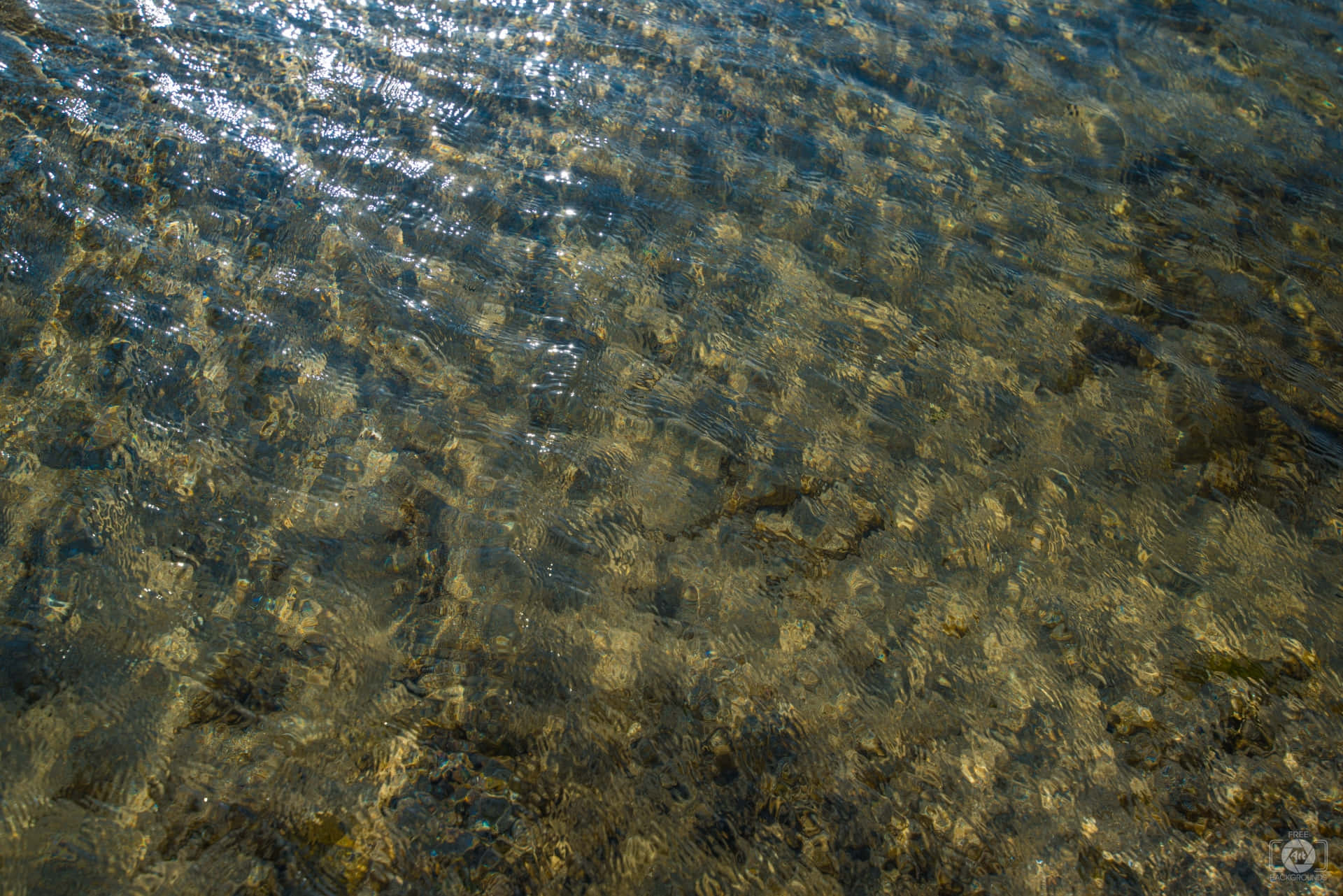 Water Texture 桌布 壁紙 — 陽光在漣漪的清澈水面上舞動，顯露出底下被陽光照射的金色岩石。